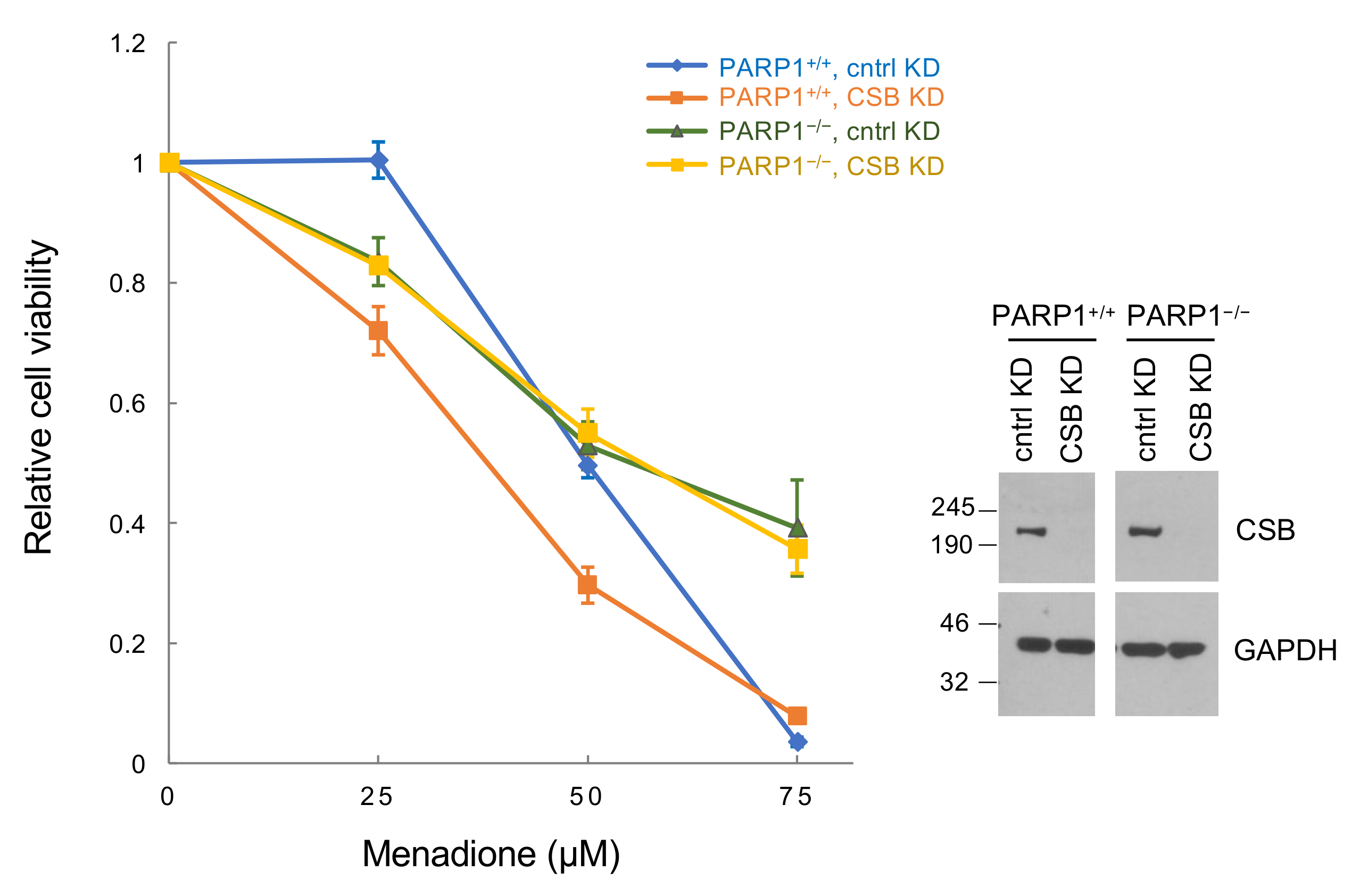 Biomedicines 10 00361 g006 550