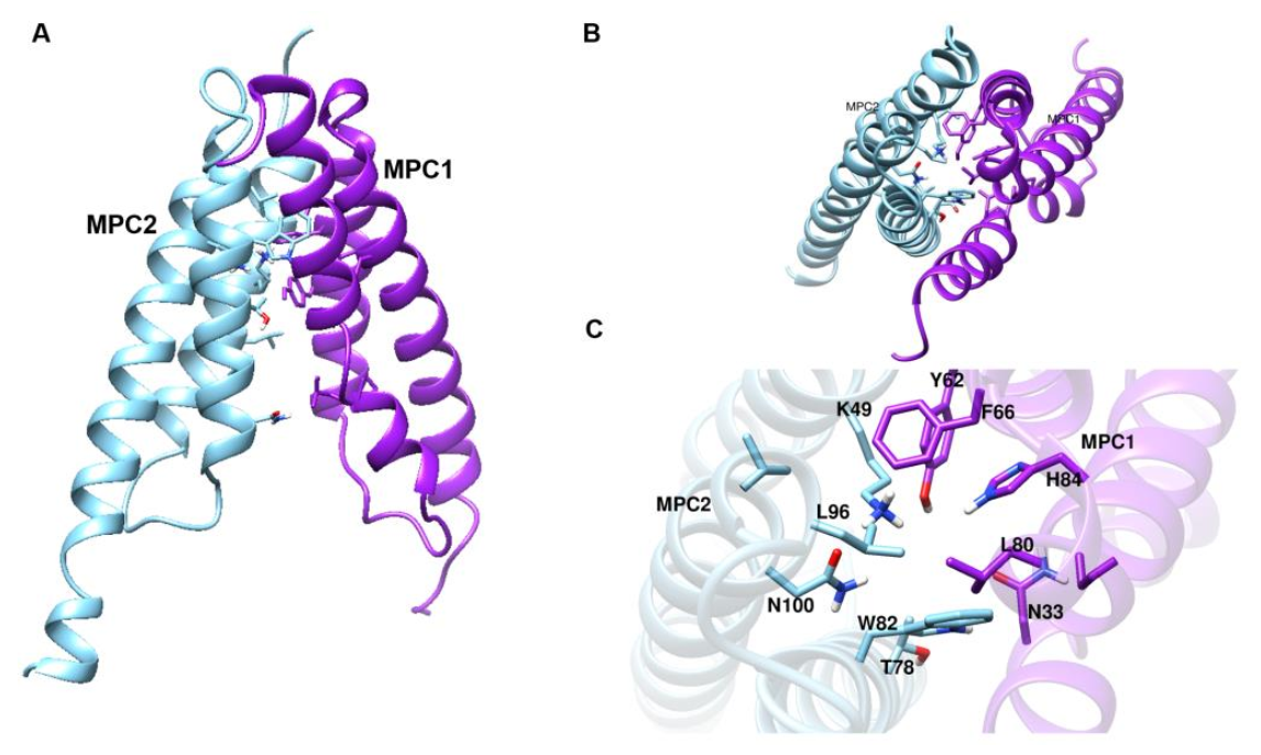 Biomedicines 10 00365 g002 550