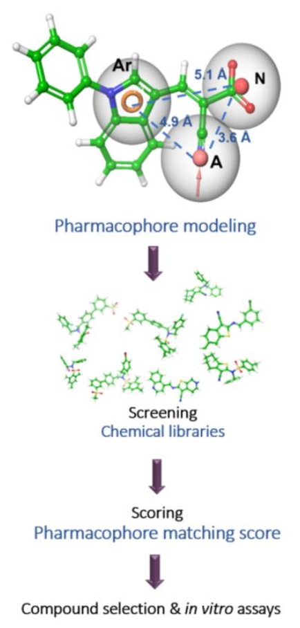 Biomedicines 10 00365 g004 550