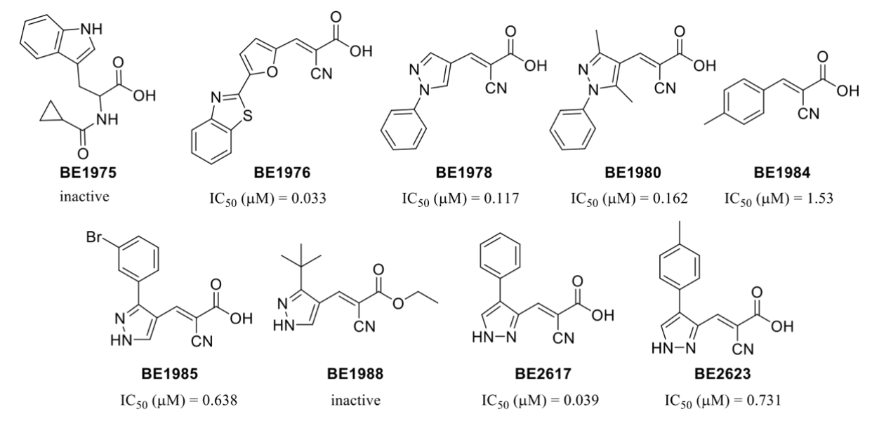 Biomedicines 10 00365 g005 550