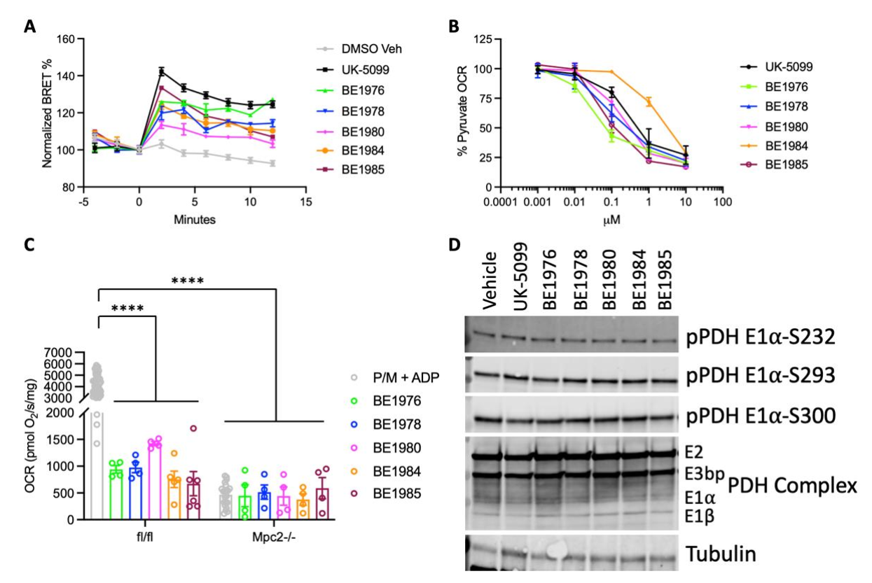 Biomedicines 10 00365 g006 550