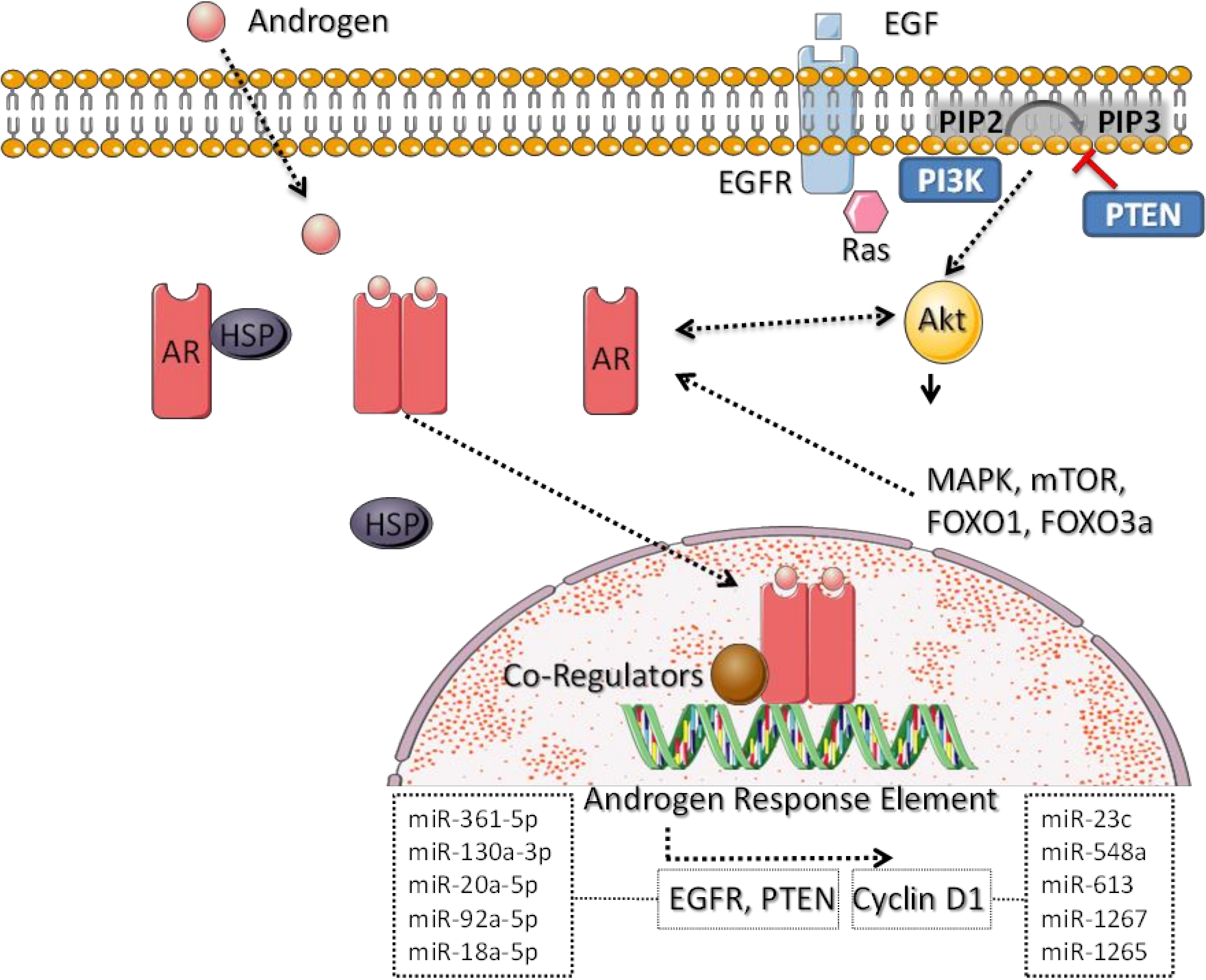 Biomedicines 10 00366 g001