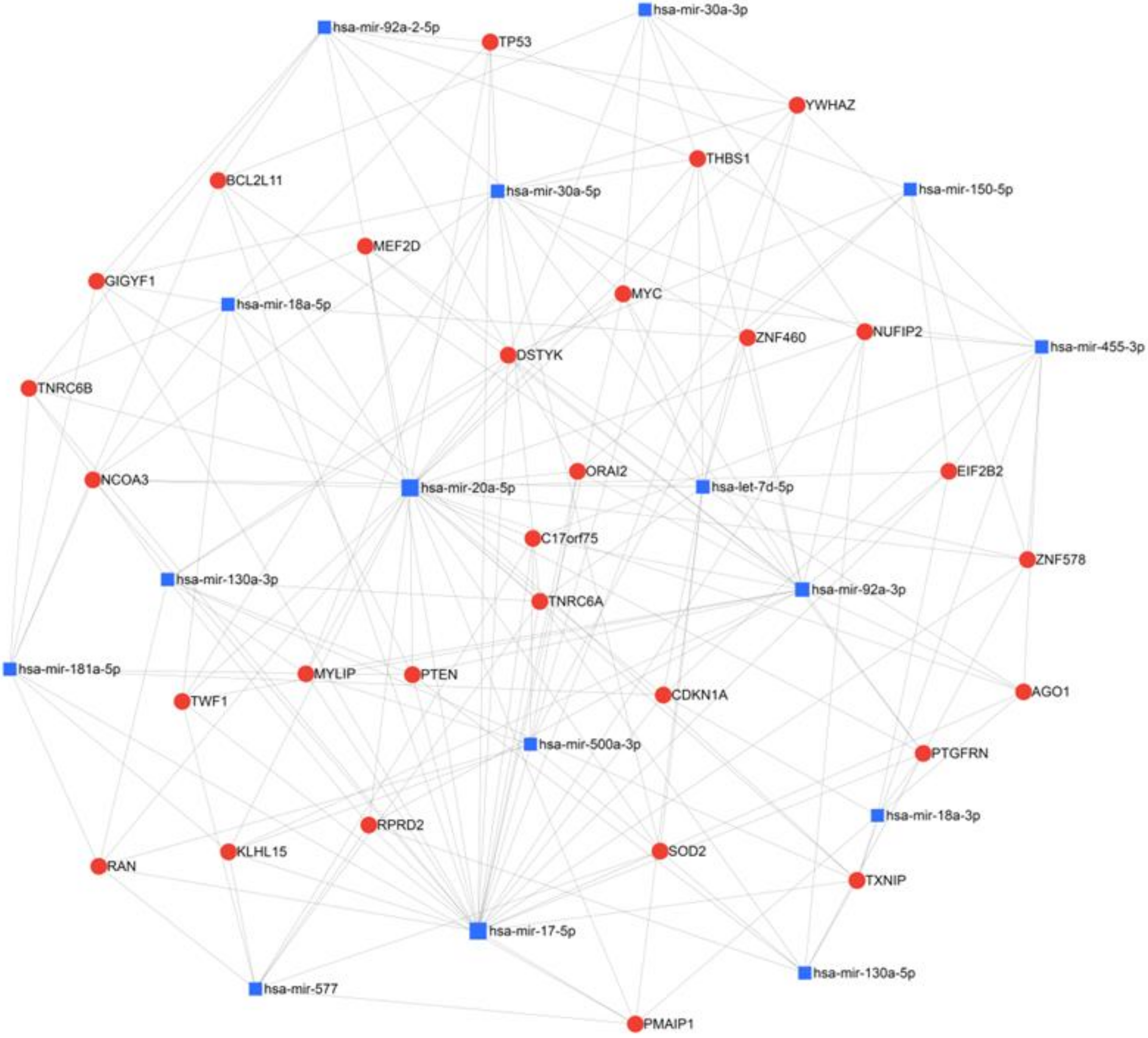 Biomedicines 10 00366 g002
