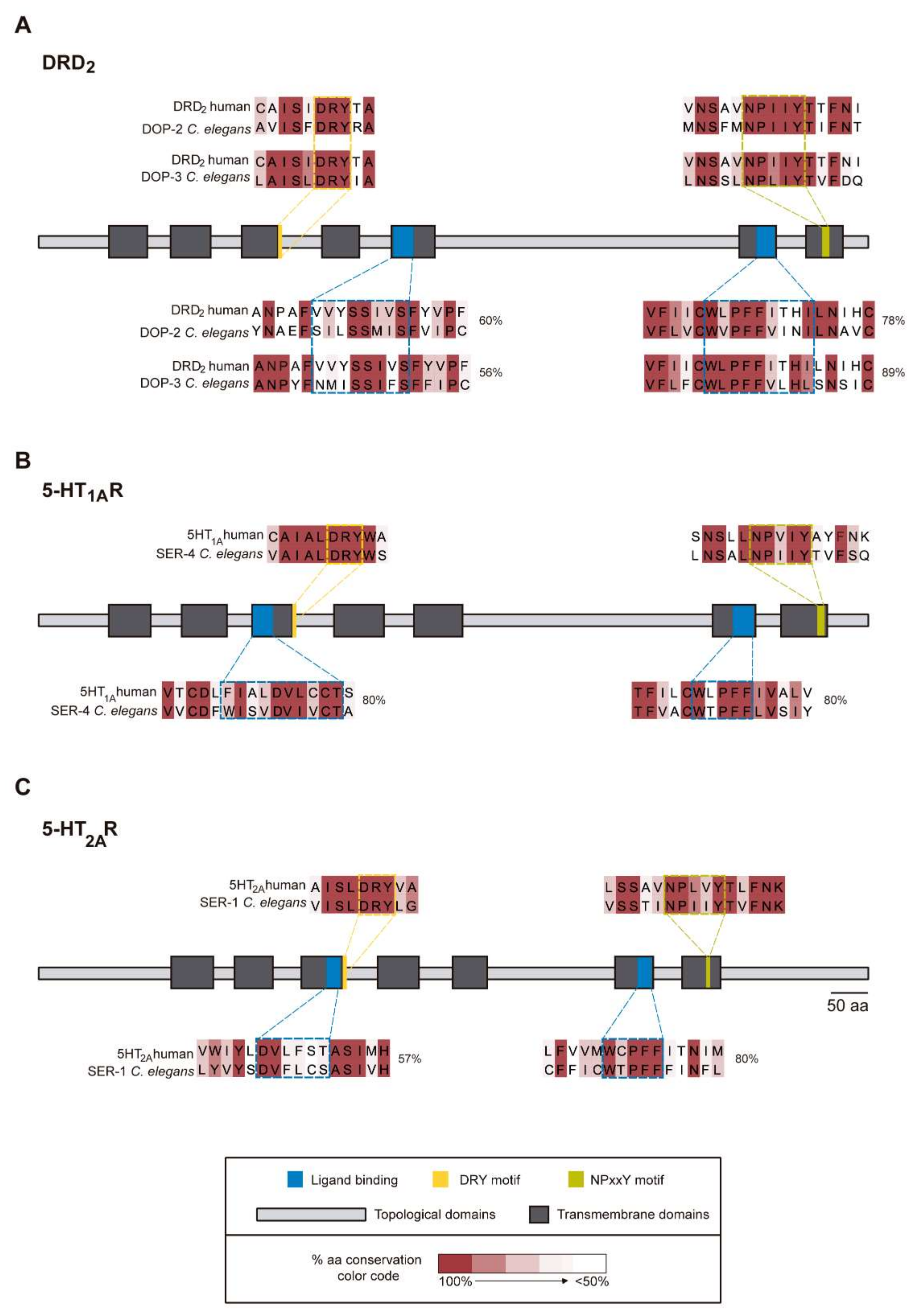 Biomedicines 10 00370 g003