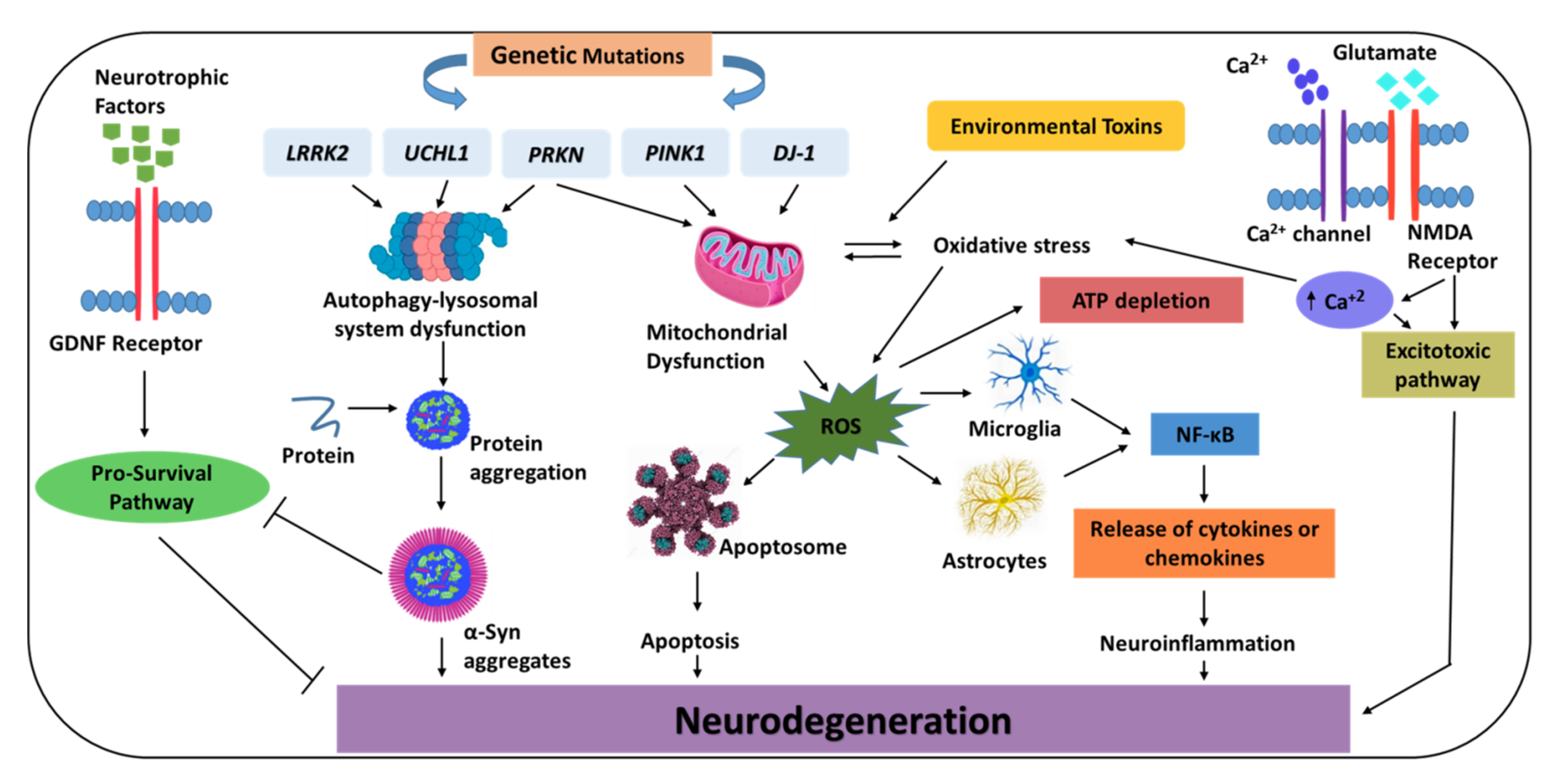 Biomedicines | Free Full-Text | Emerging Therapeutic Strategies for  Parkinson&rsquo;s Disease and Future Prospects: A 2021 Update | HTML