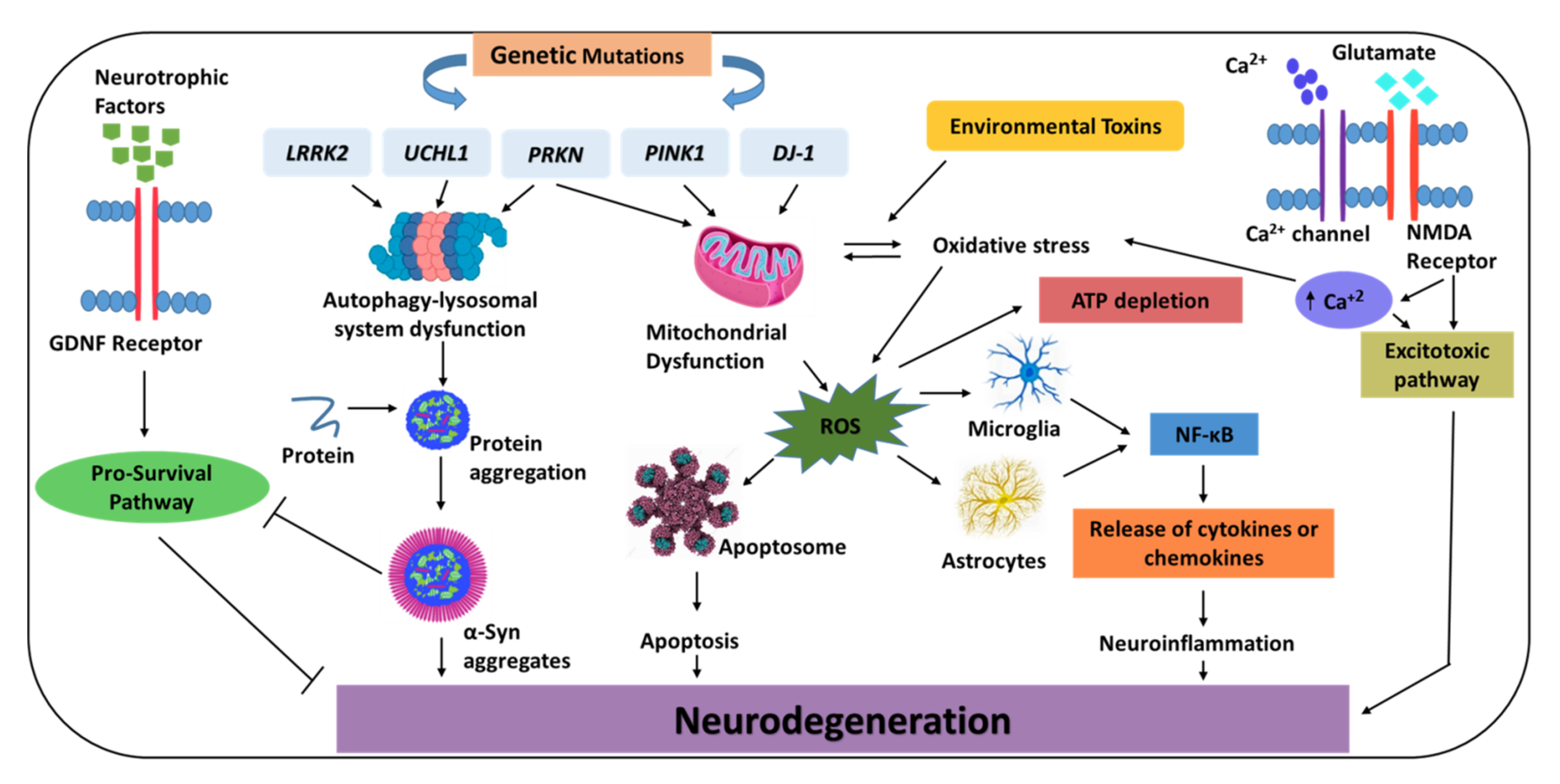Biomedicines | Free Full-Text | Emerging Therapeutic Strategies for Parkinson’s Disease and Future Prospects: A 2021 Update | HTML
