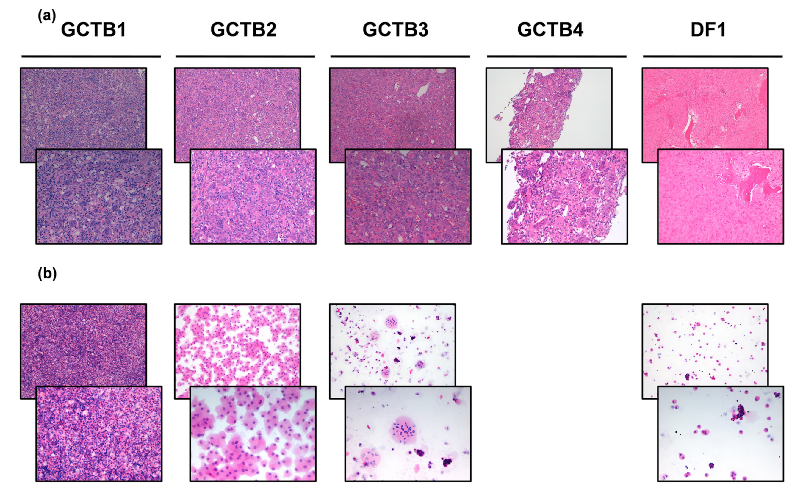 Biomedicines 10 00372 g001 550