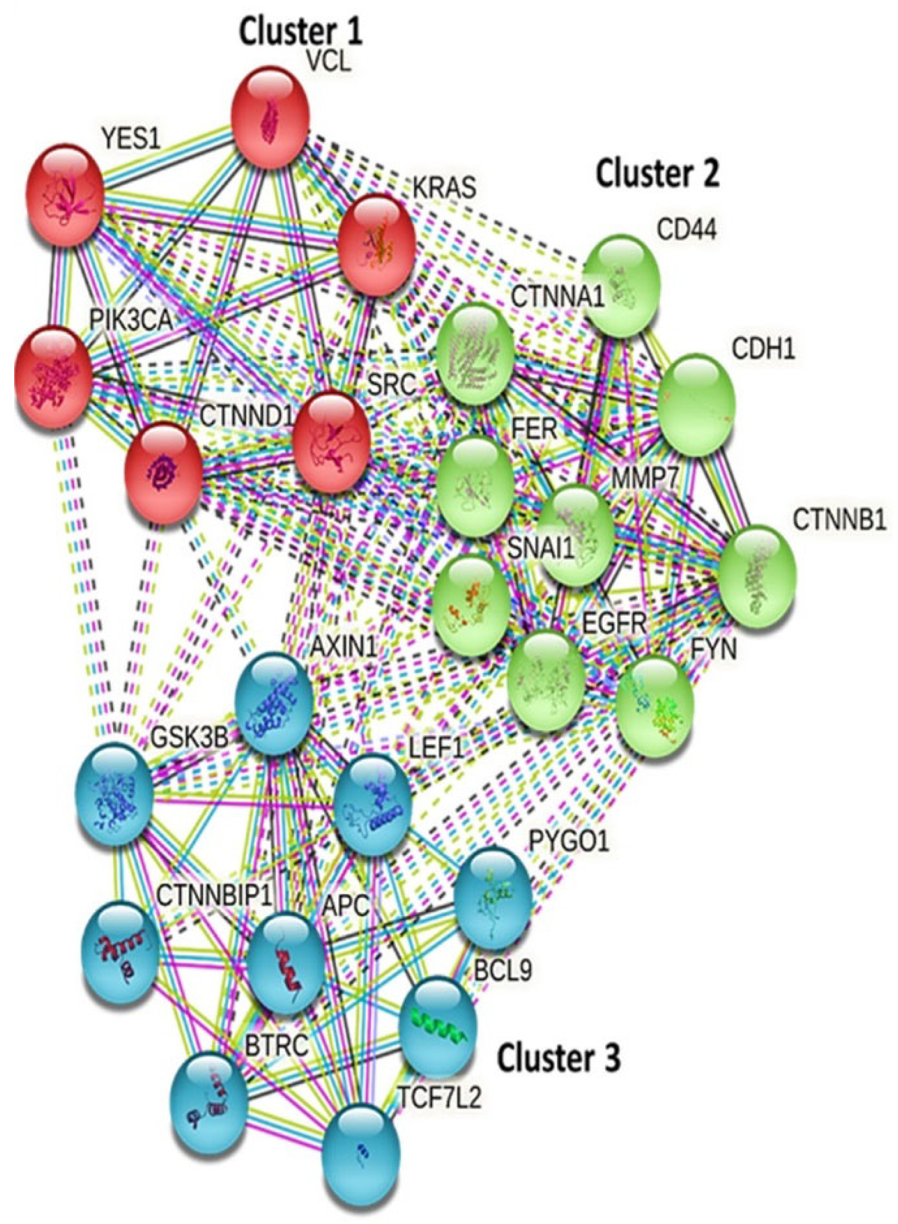 Biomedicines 10 00377 g006