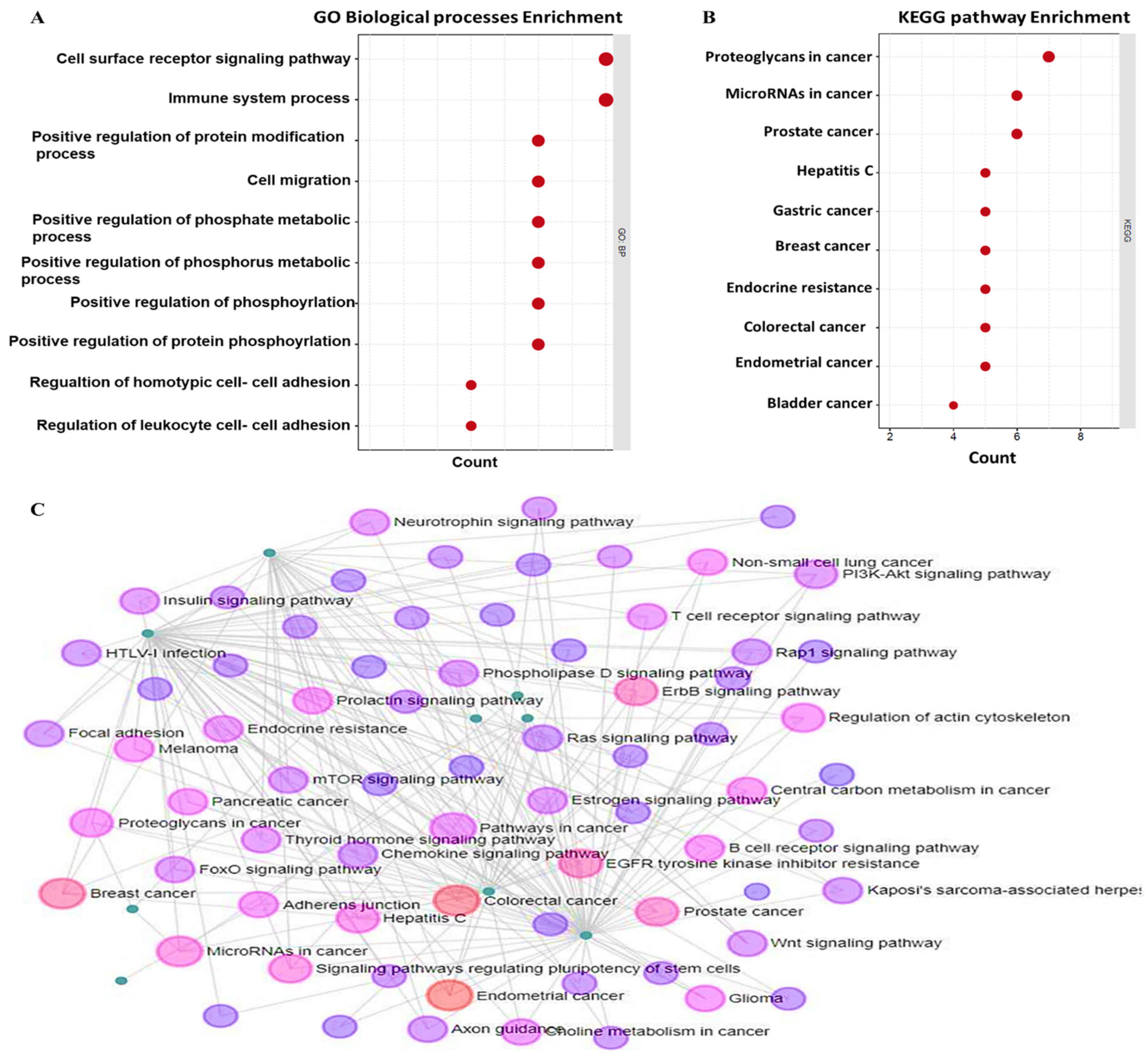 Biomedicines 10 00377 g007