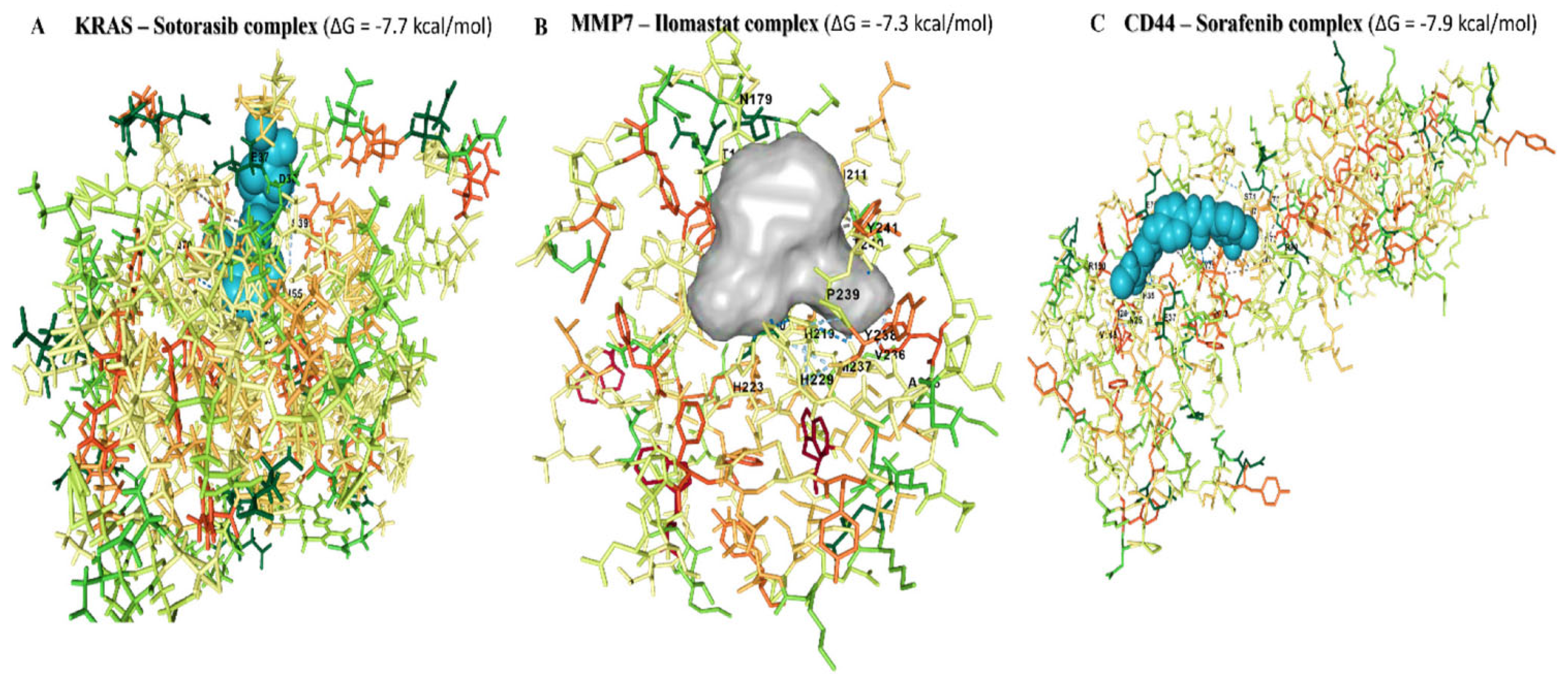 Biomedicines 10 00377 g010