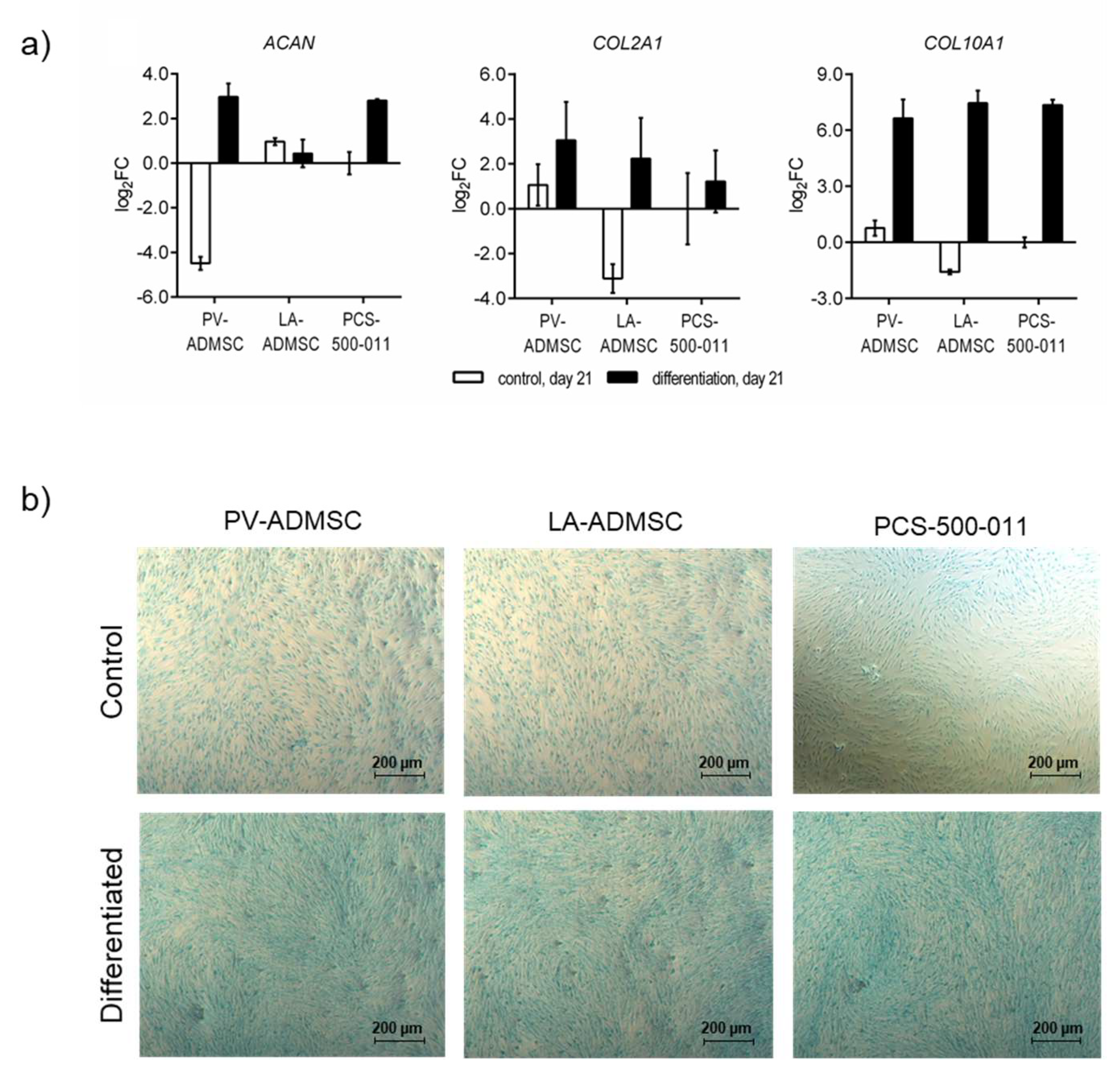 Biomedicines 10 00378 g006
