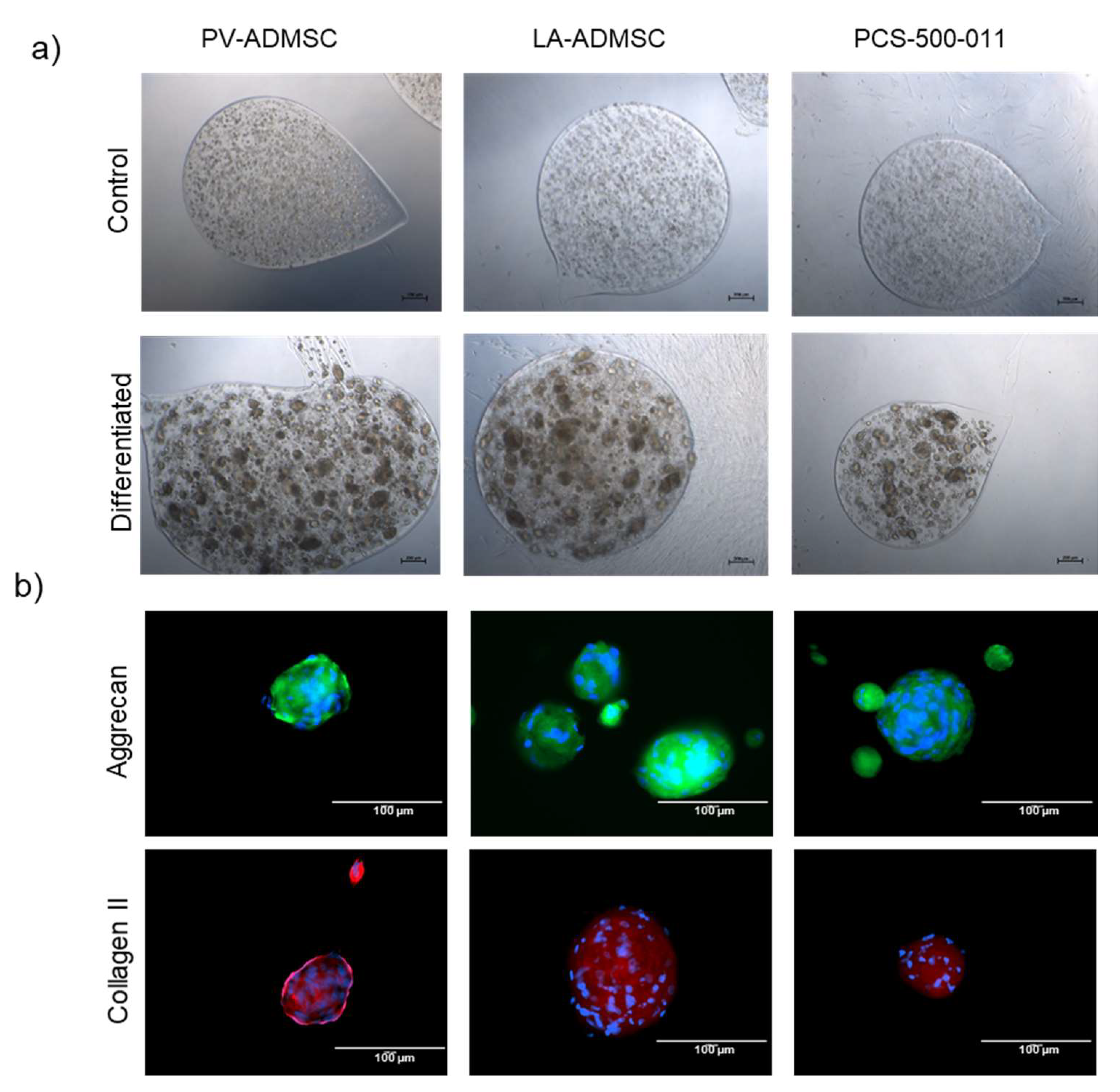 Biomedicines 10 00378 g007