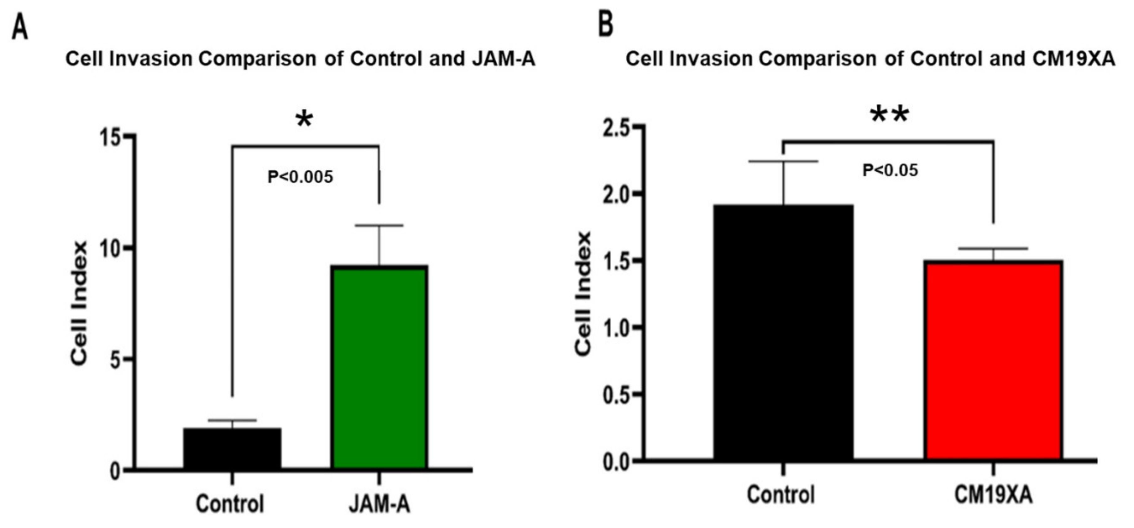 Biomedicines 10 00381 g004