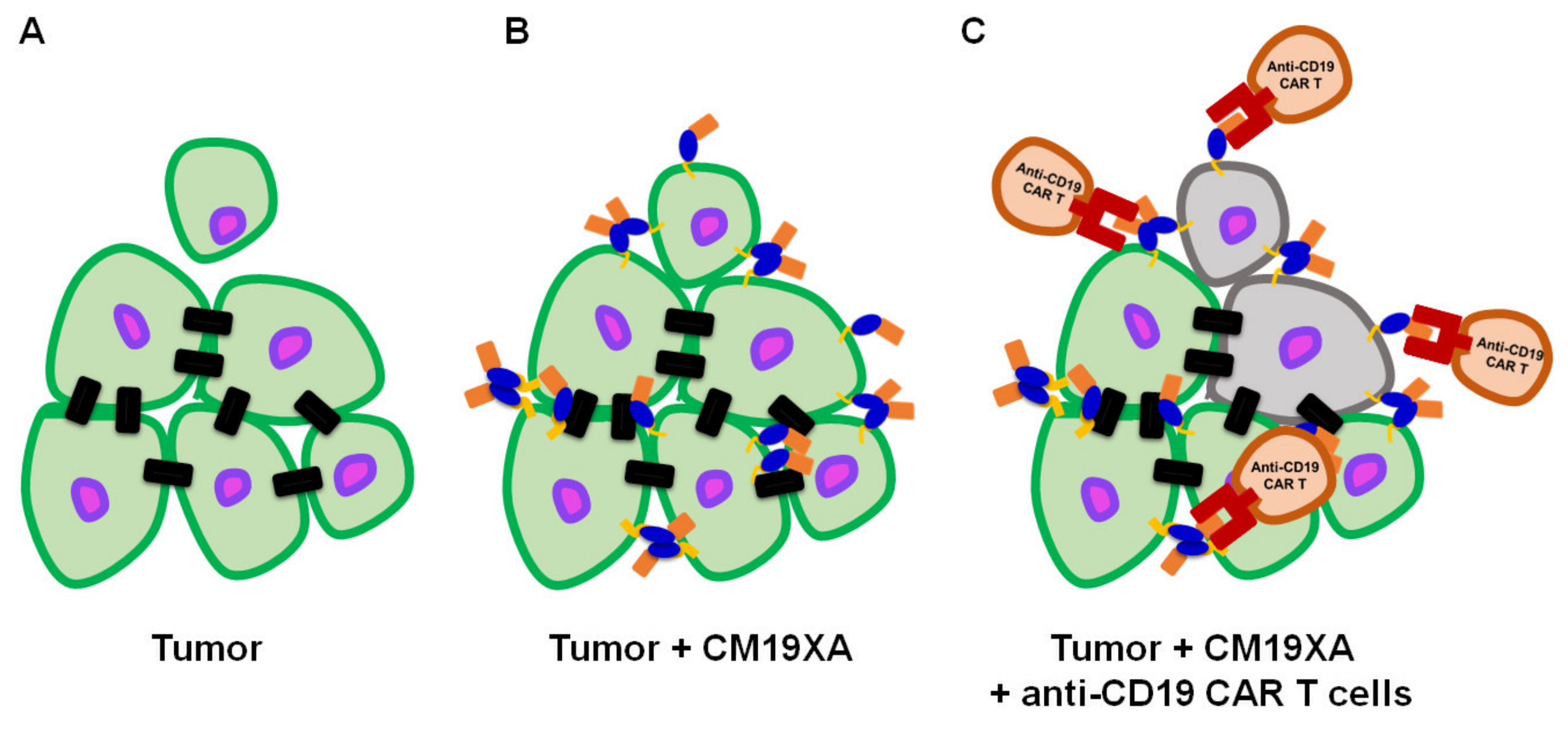 Biomedicines 10 00381 g007