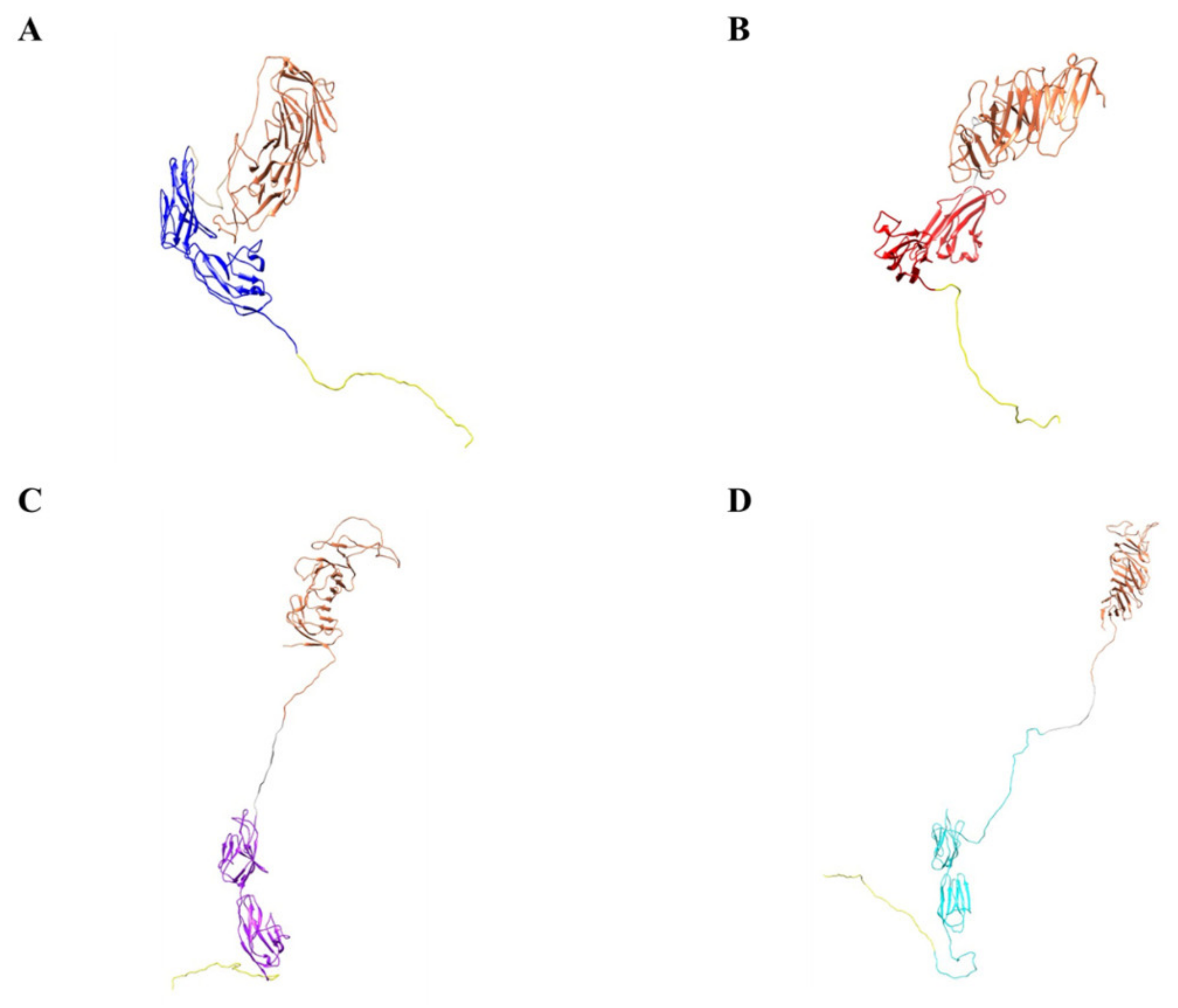 Biomedicines 10 00381 g008
