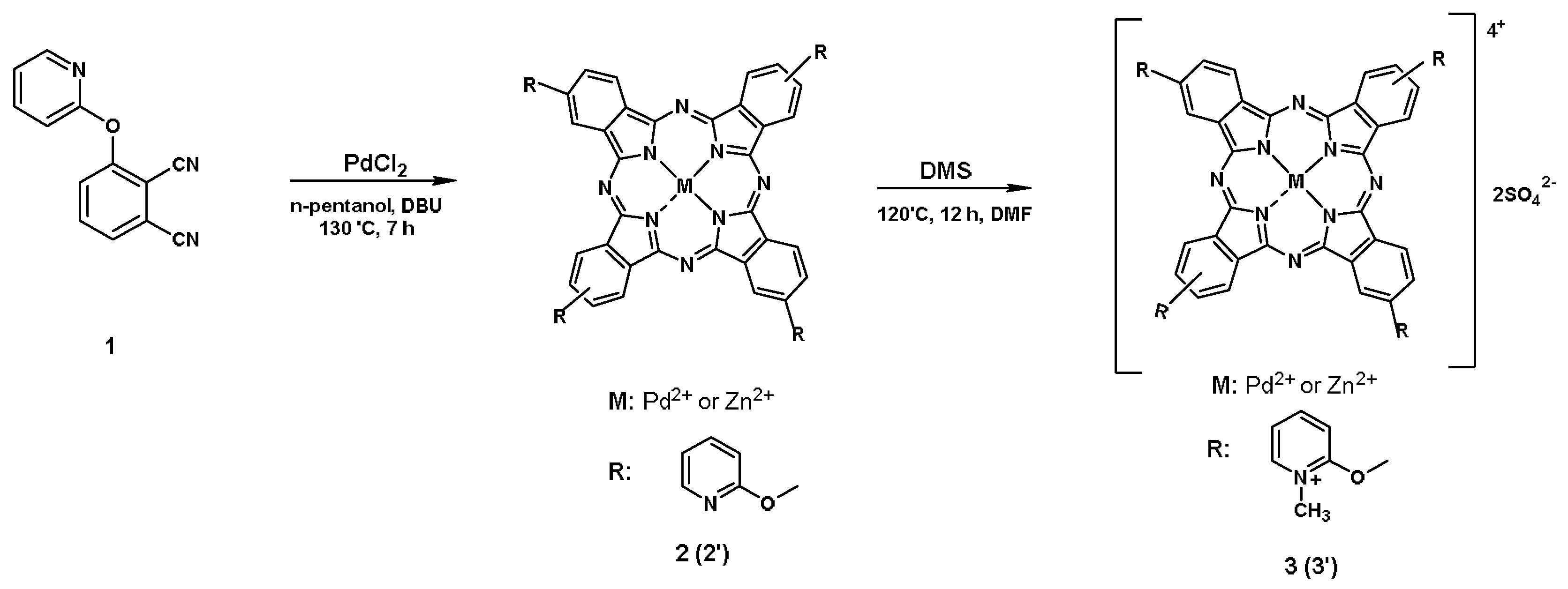 Biomedicines 10 00384 g001