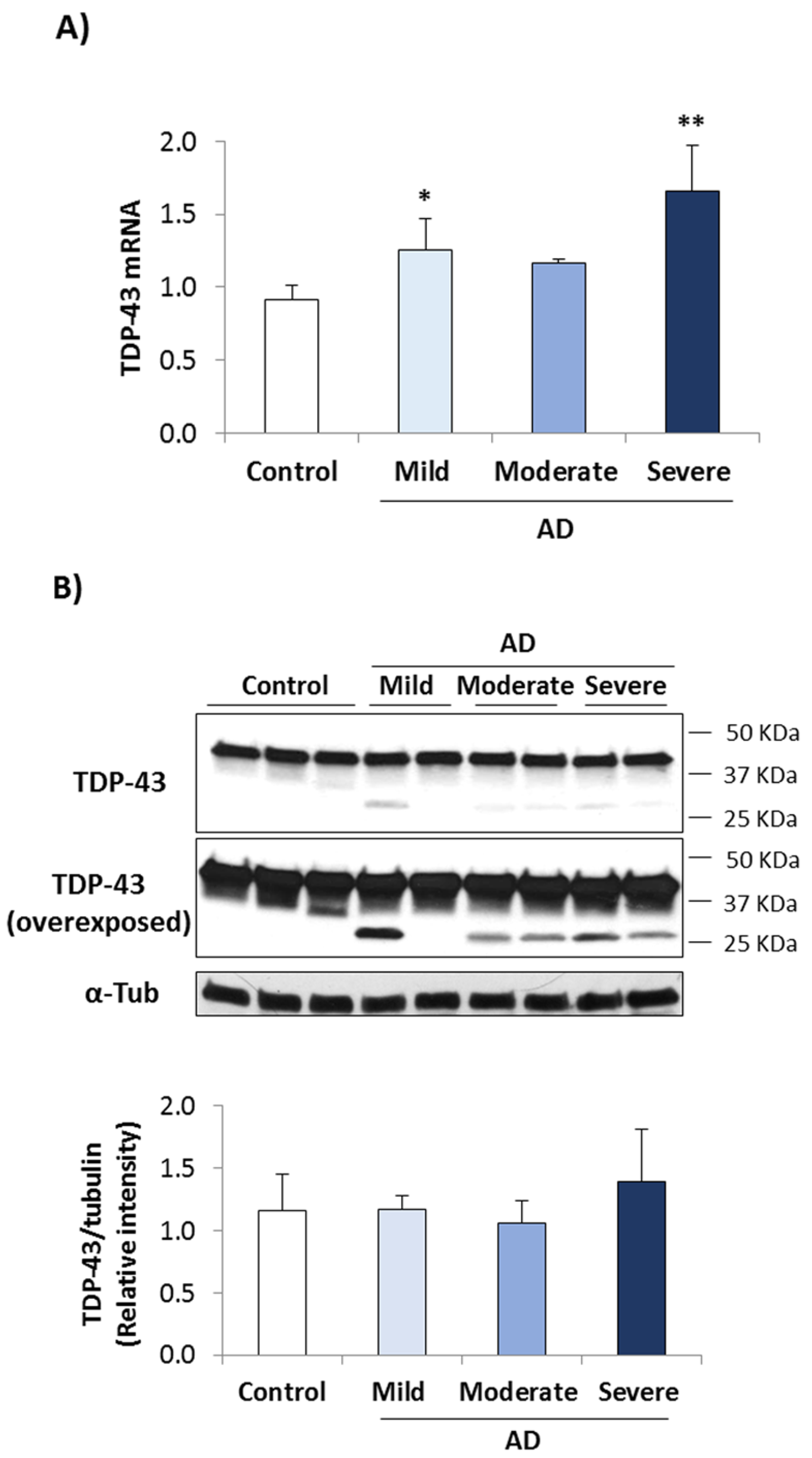 Biomedicines 10 00385 g001