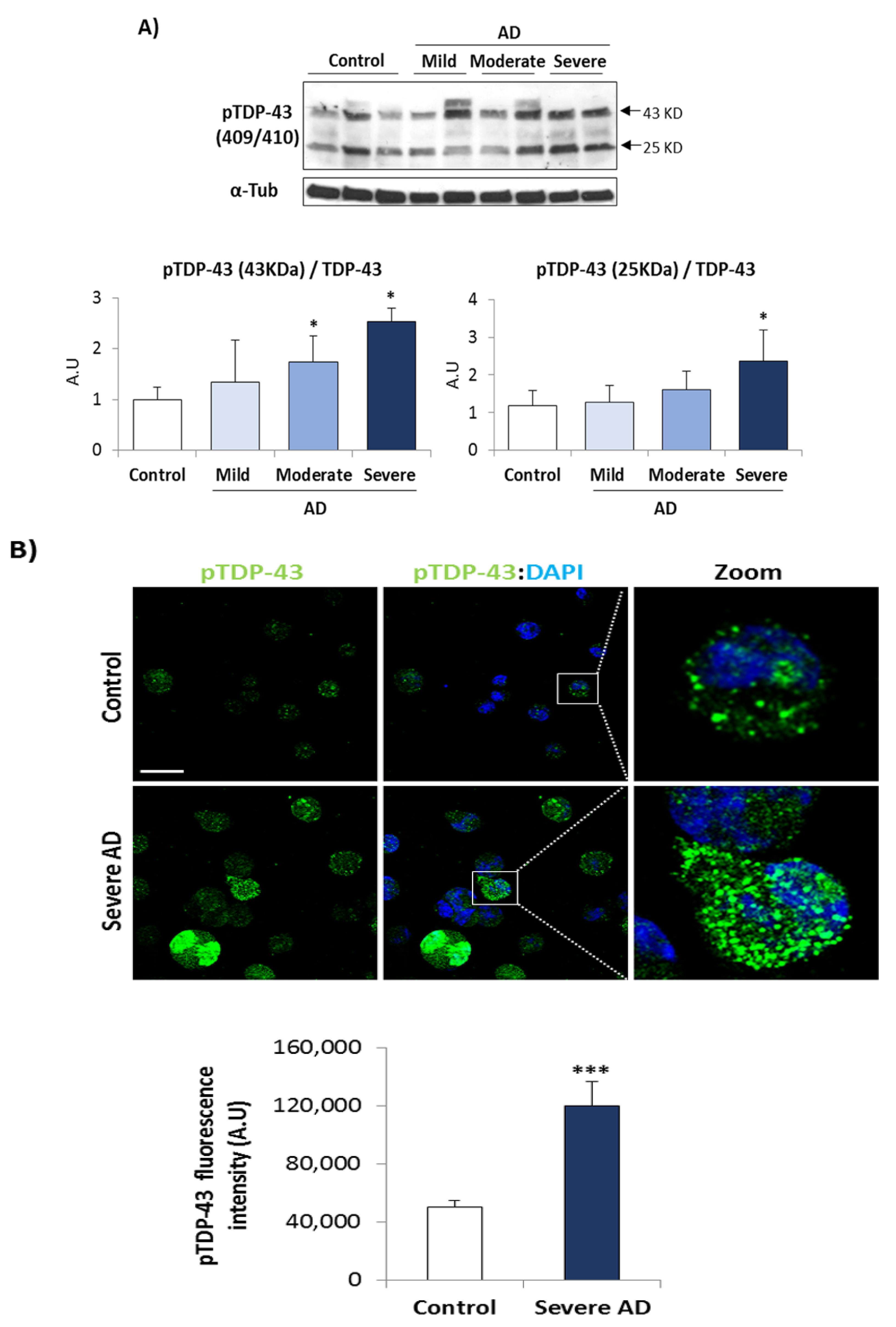 Biomedicines 10 00385 g002