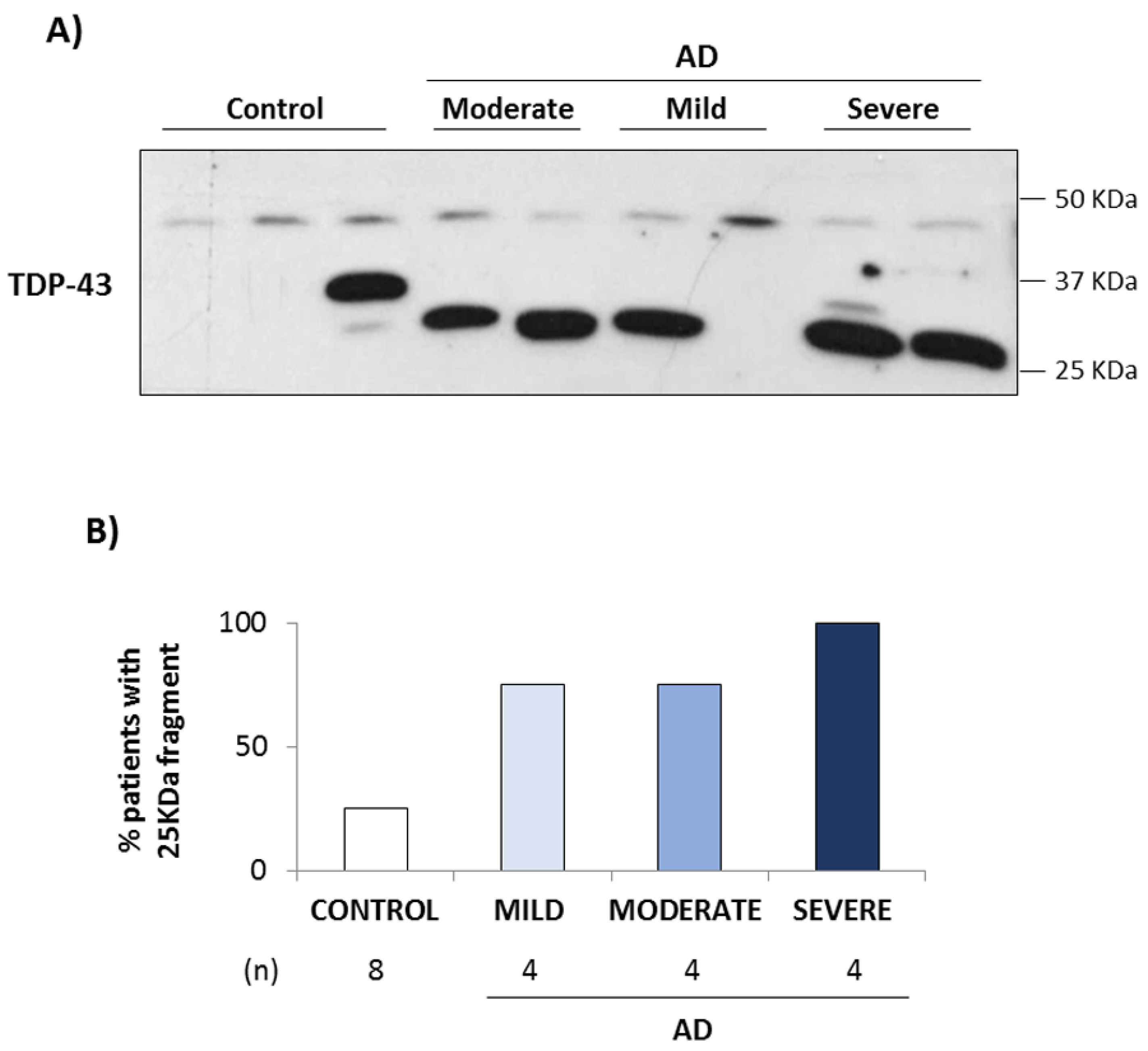 Biomedicines 10 00385 g004