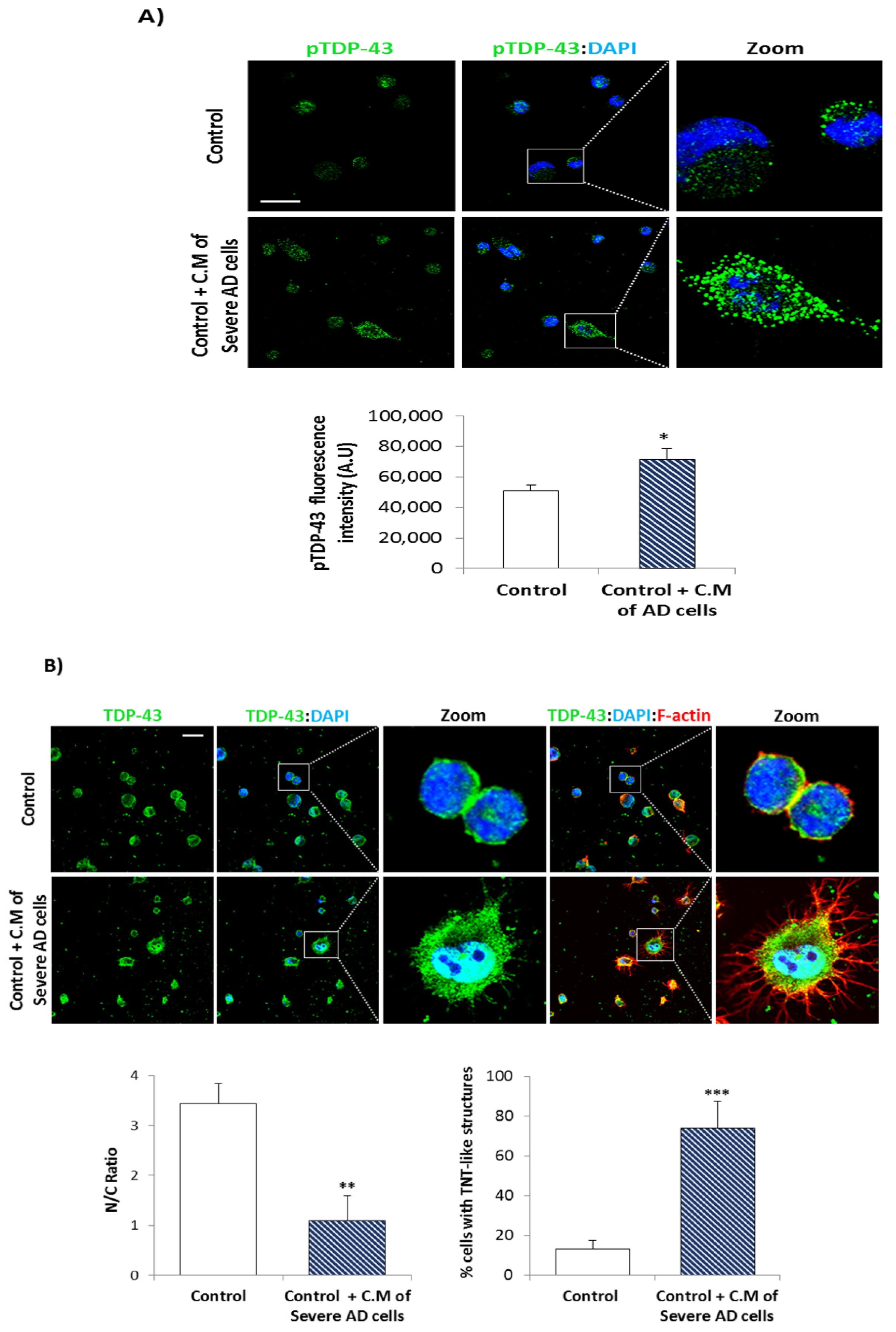 Biomedicines 10 00385 g005