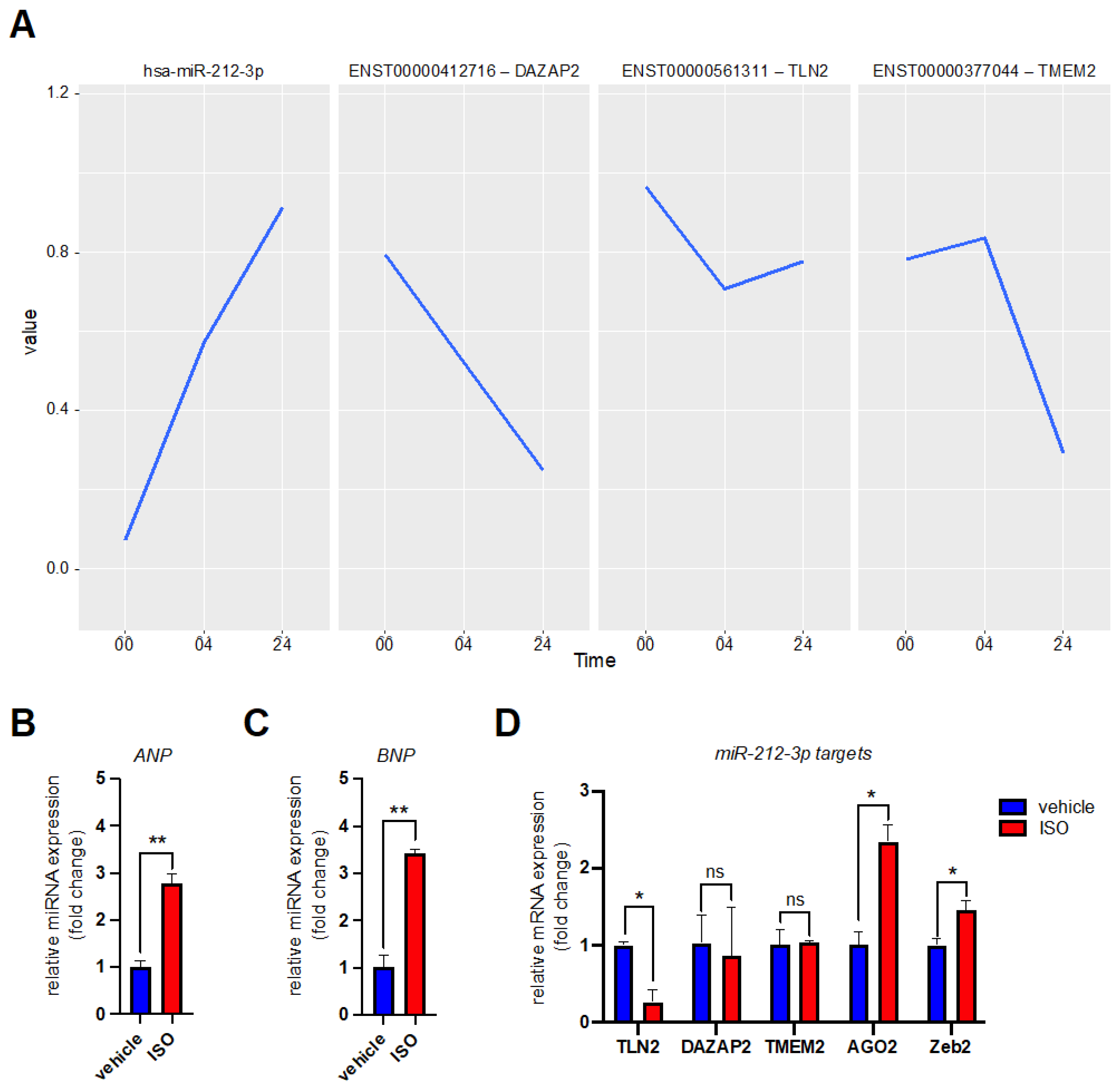 Biomedicines 10 00391 g003