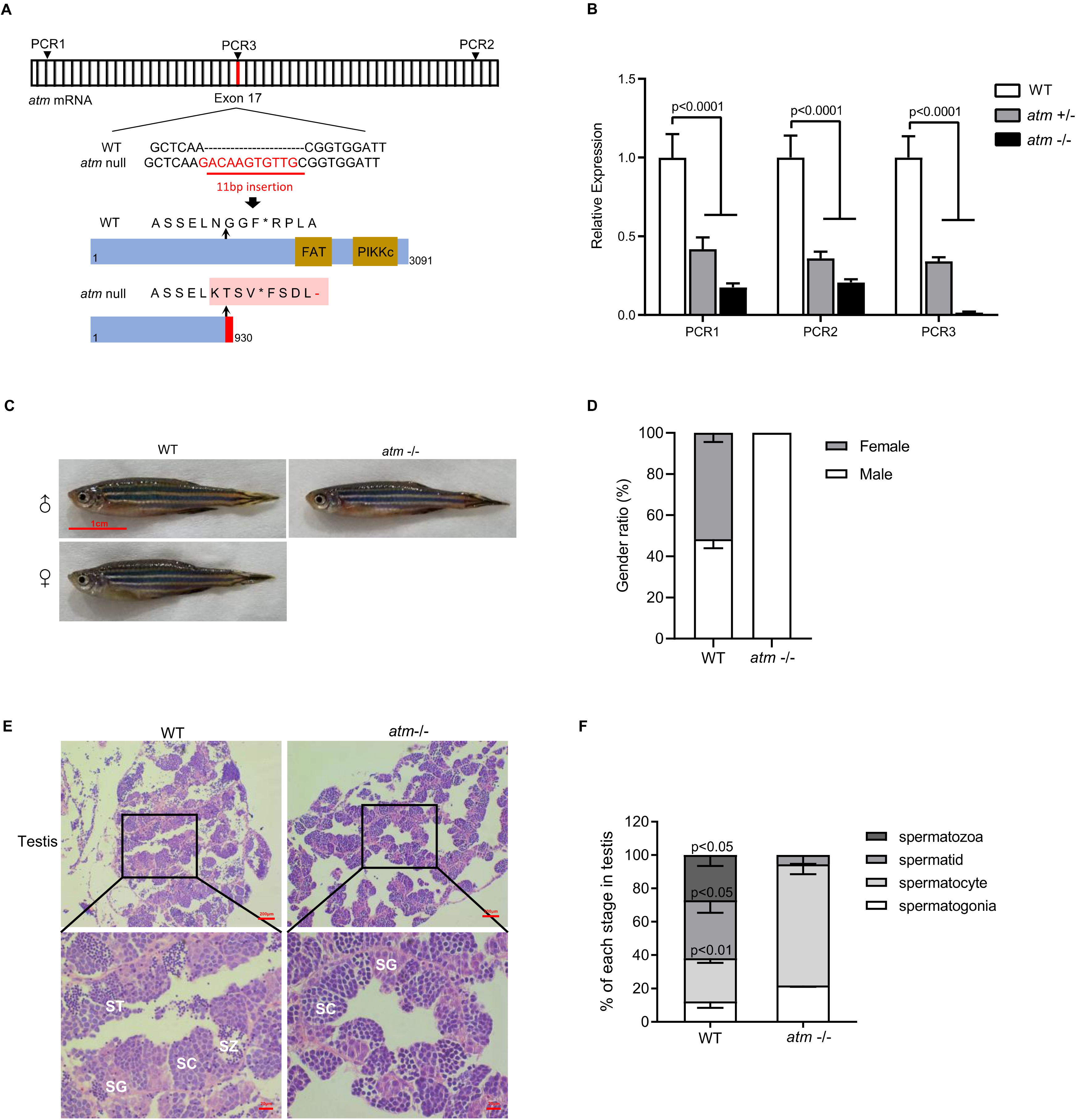 Biomedicines 10 00392 g001