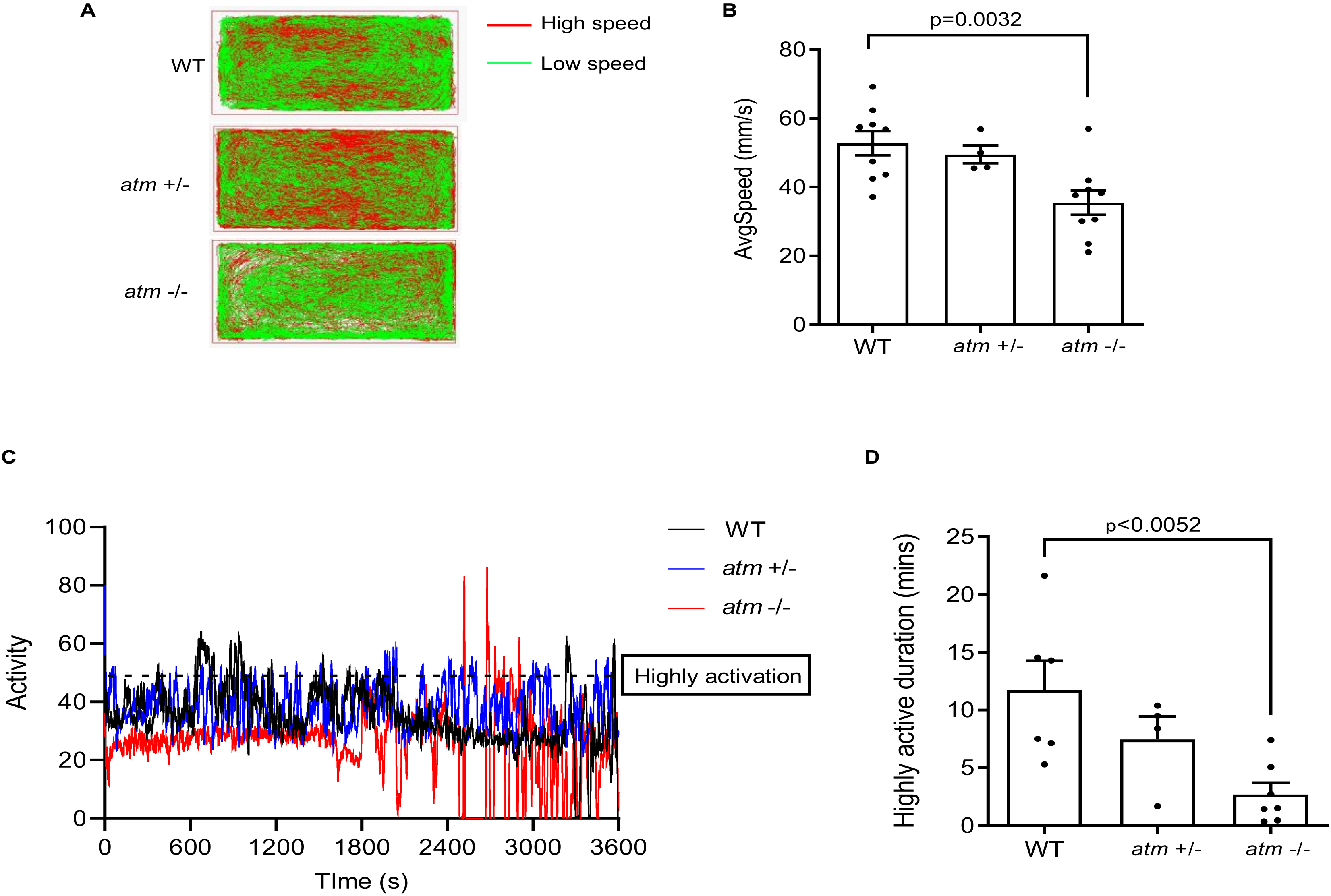 Biomedicines 10 00392 g002