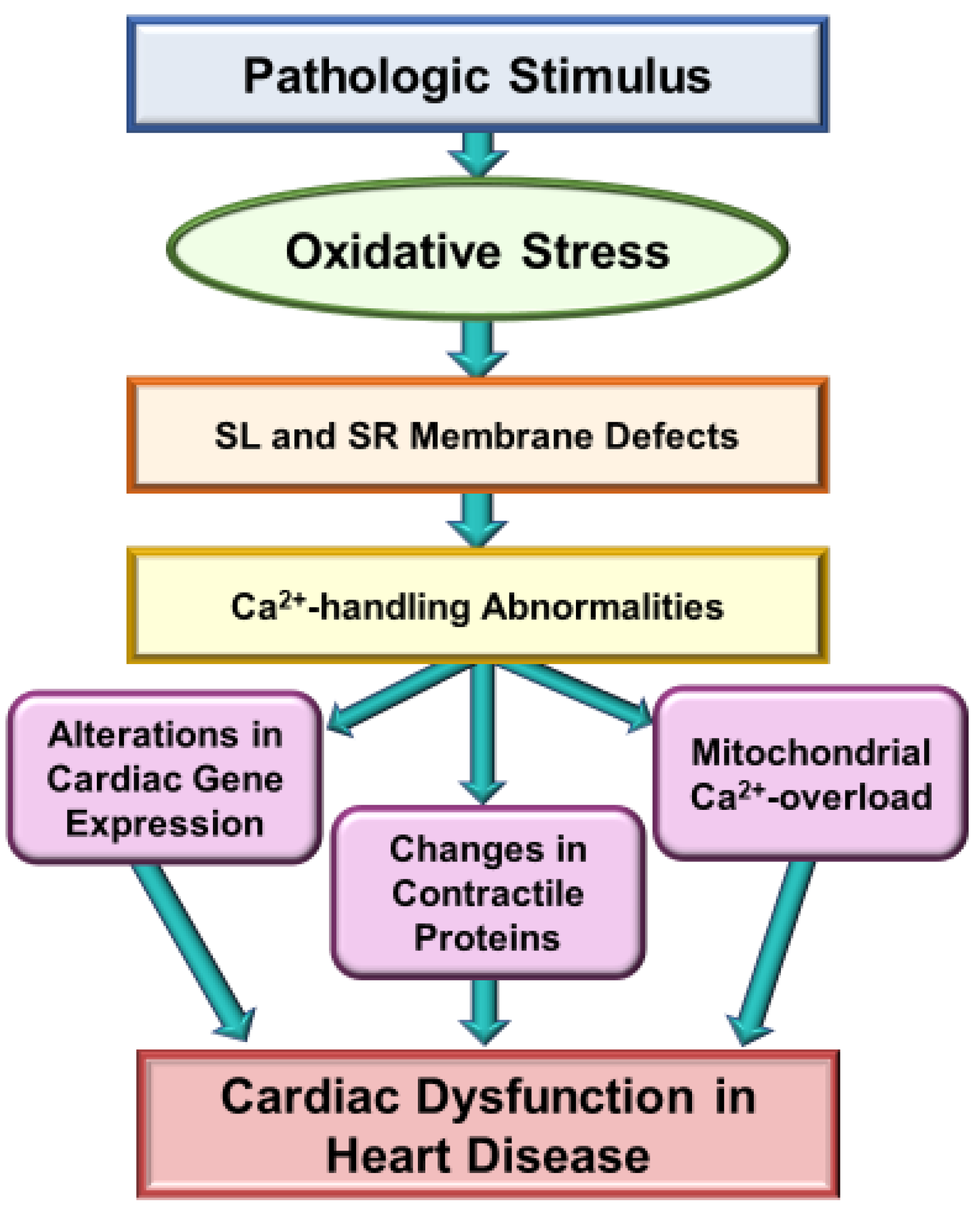 Biomedicines 10 00393 g002