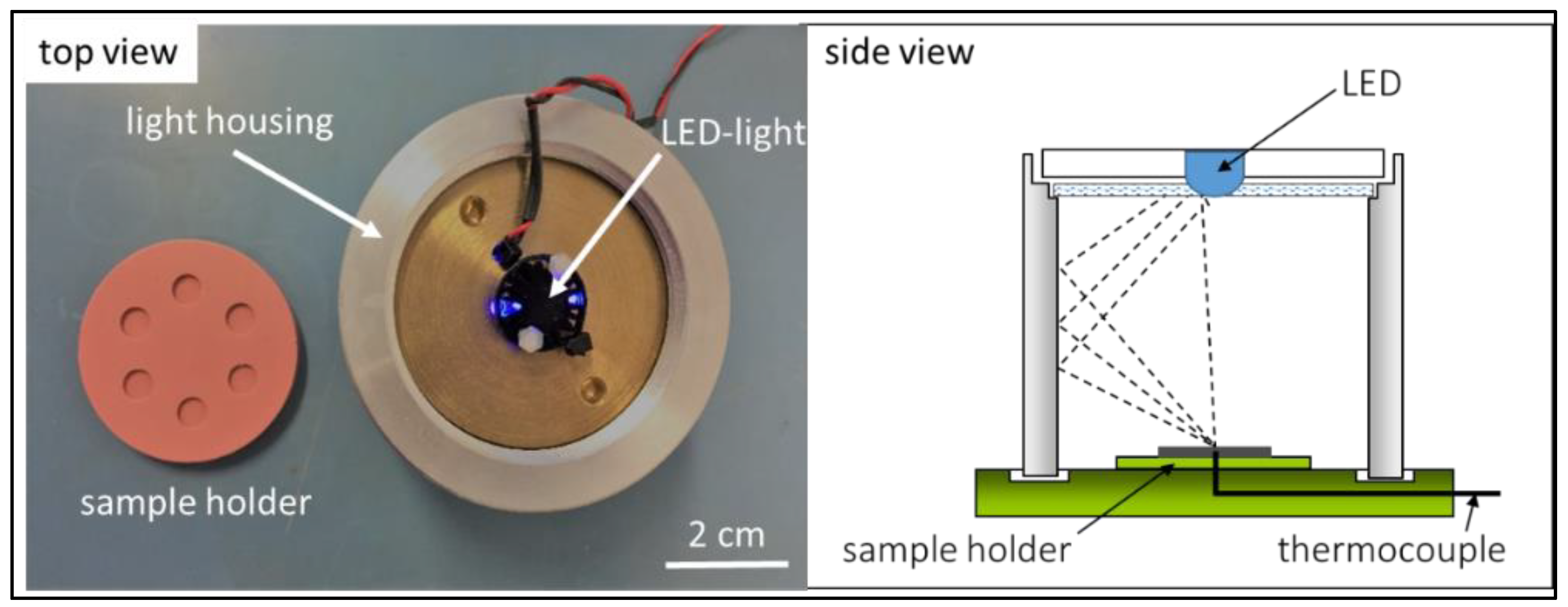 Biomedicines 10 00395 g001
