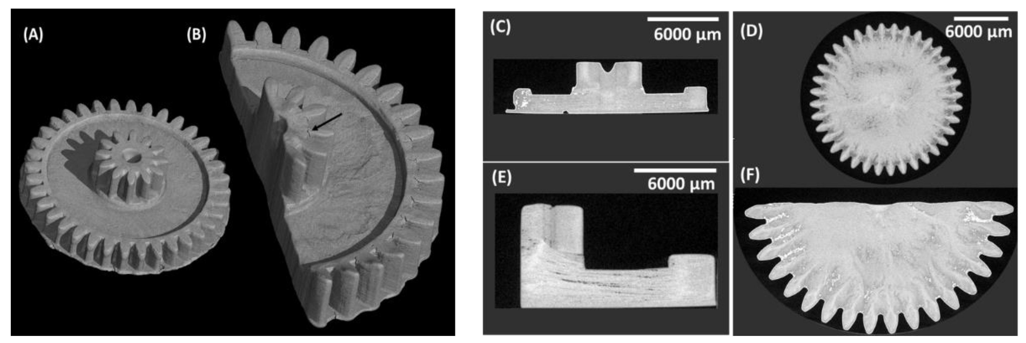 Biomedicines 10 00395 g011