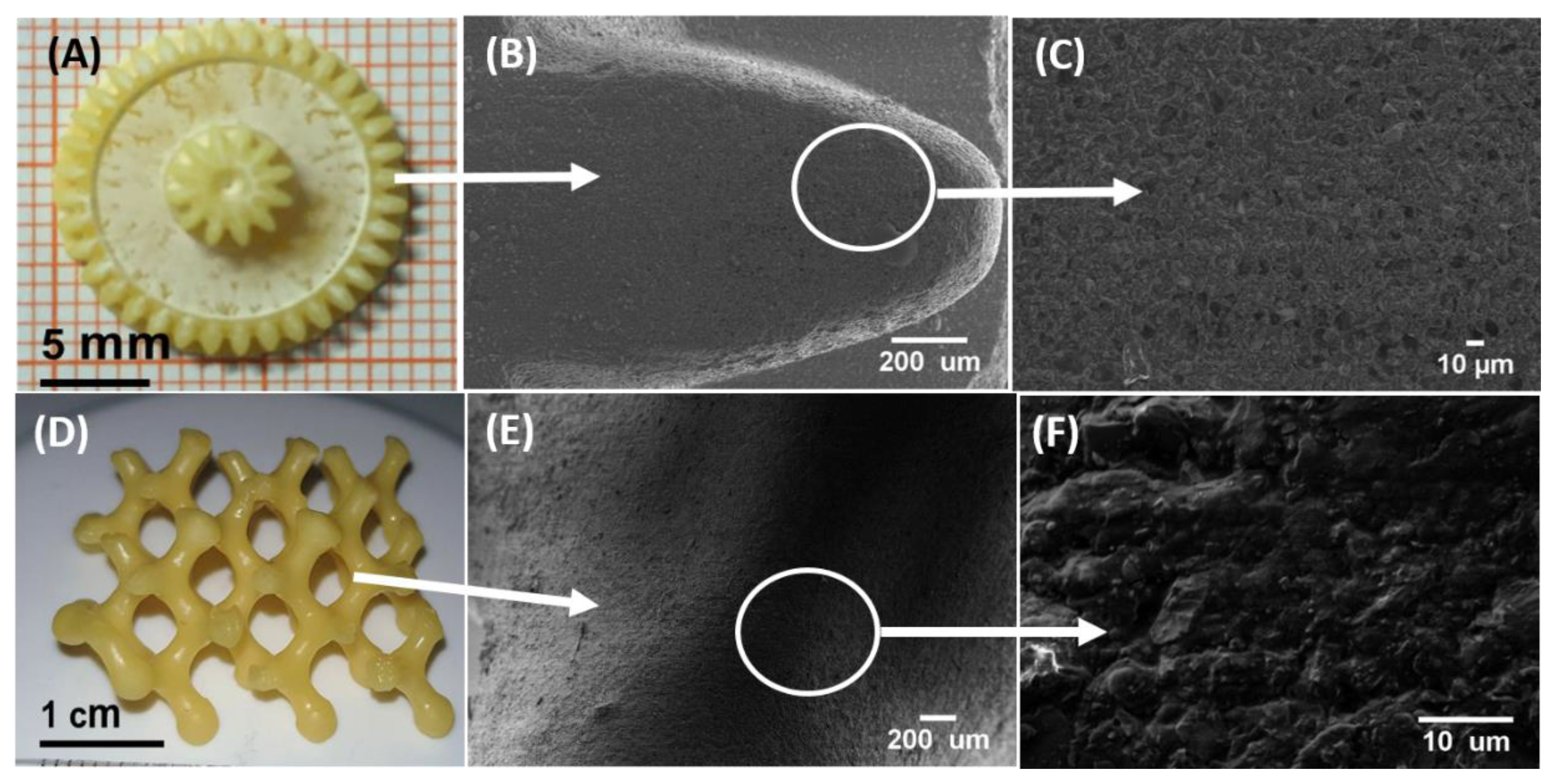 Biomedicines 10 00395 g012
