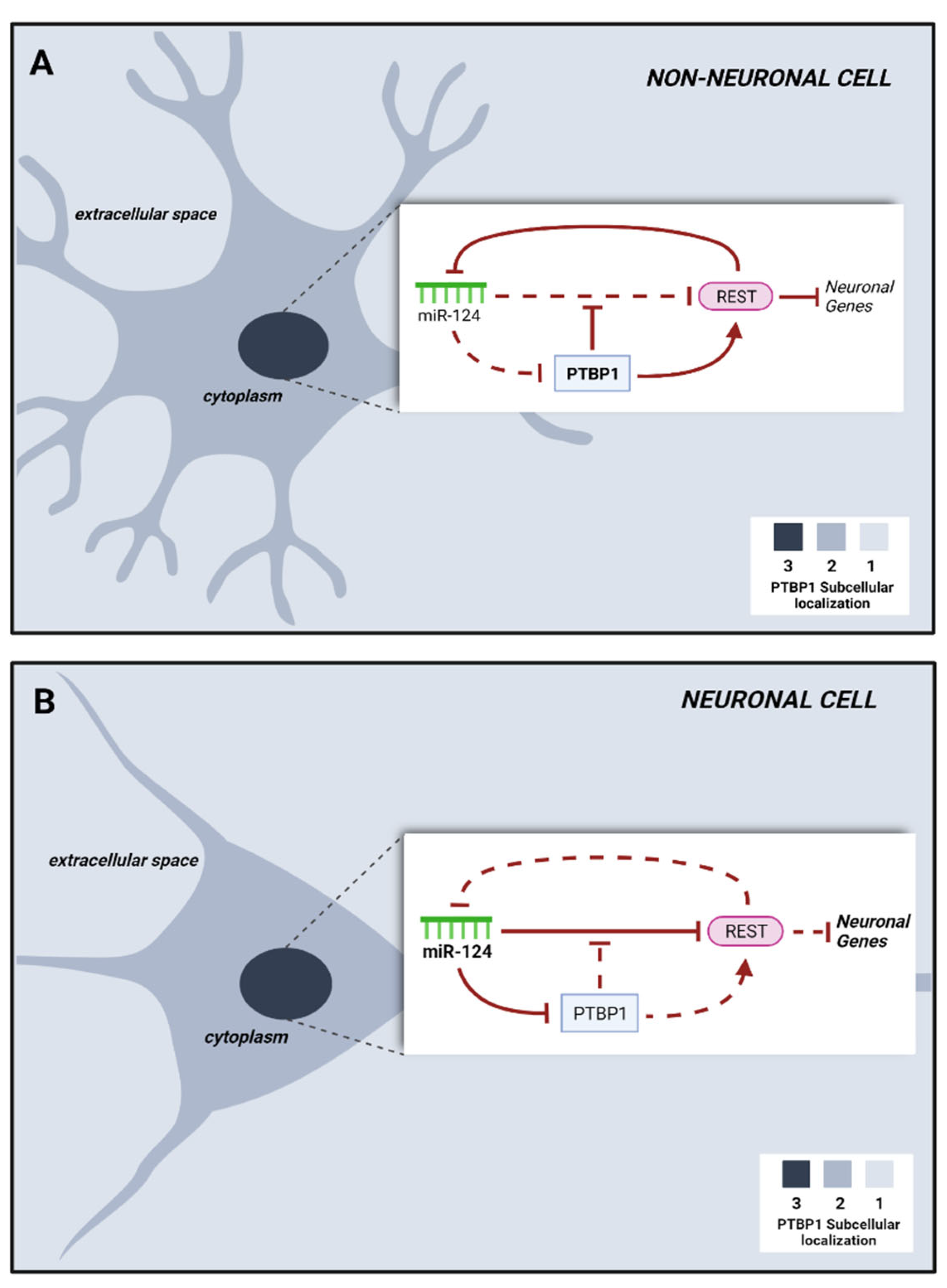 Biomedicines 10 00399 g001