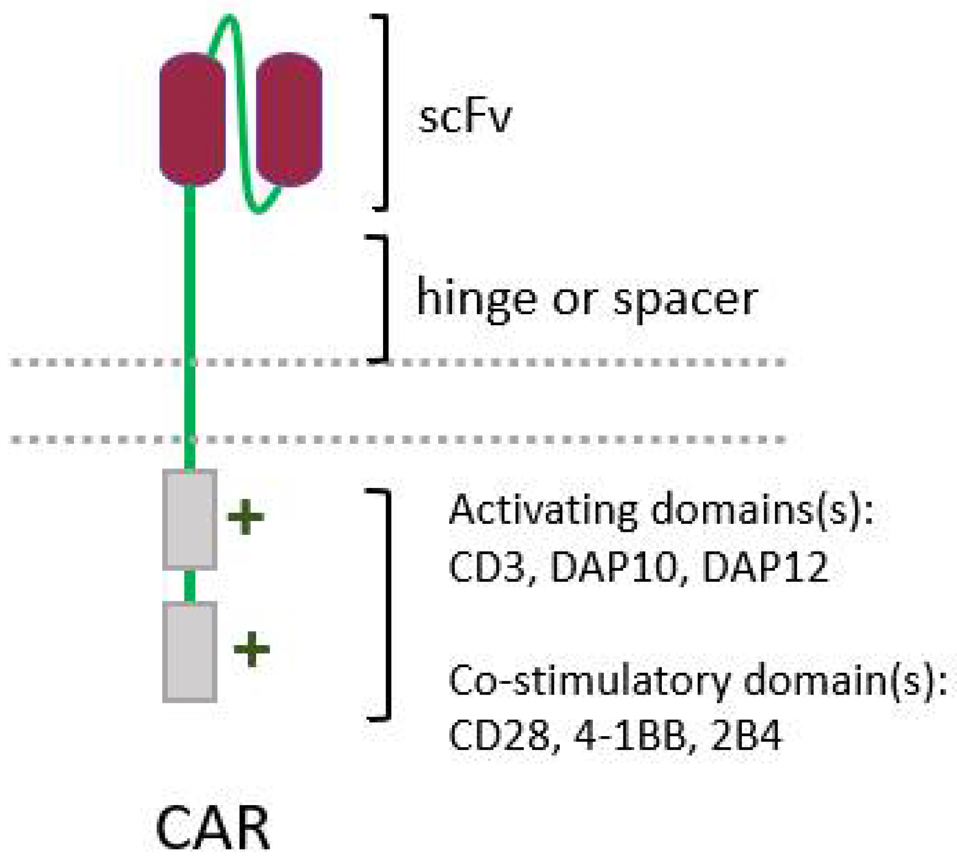Biomedicines 10 00400 g004 Biomedicines 10 00400 g004