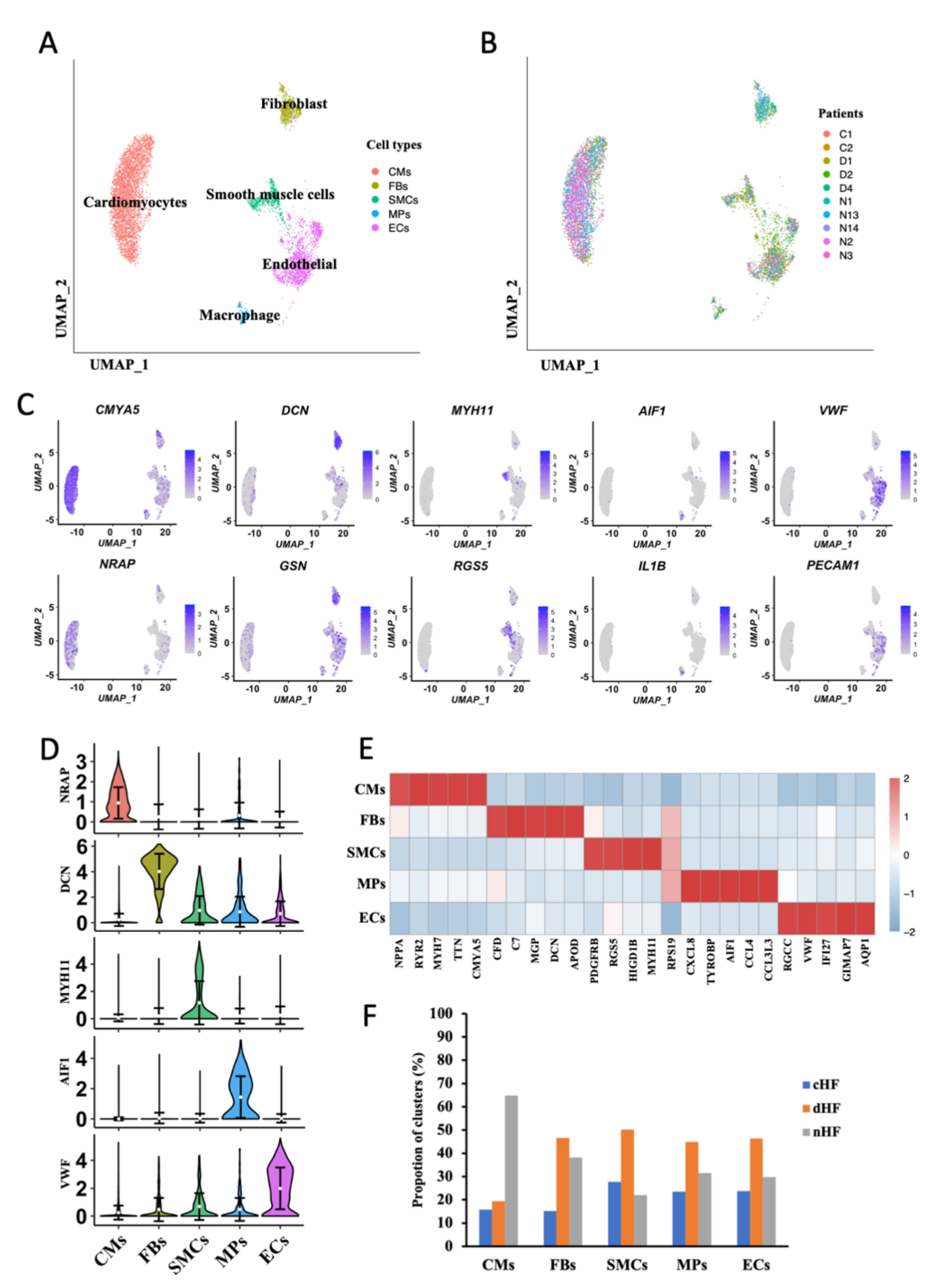 Biomedicines 10 00402 g001