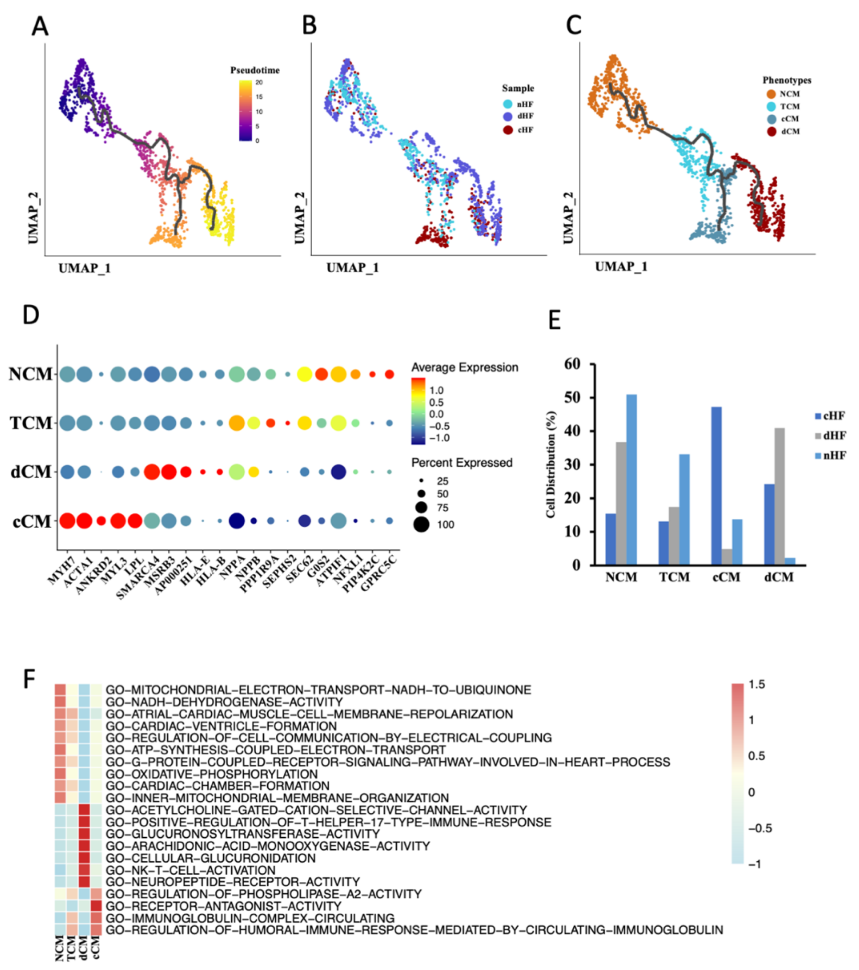 Biomedicines 10 00402 g002