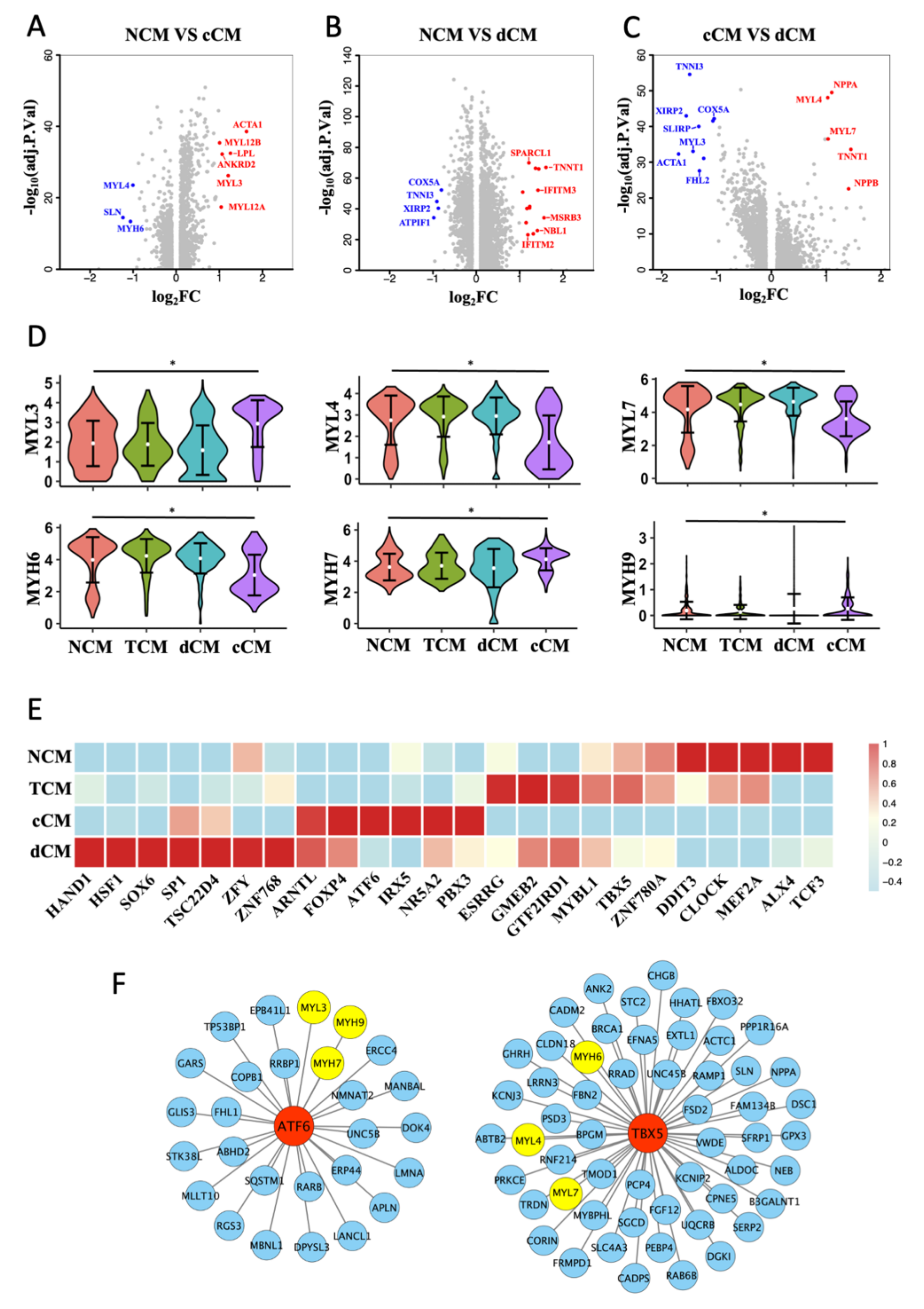 Biomedicines 10 00402 g003