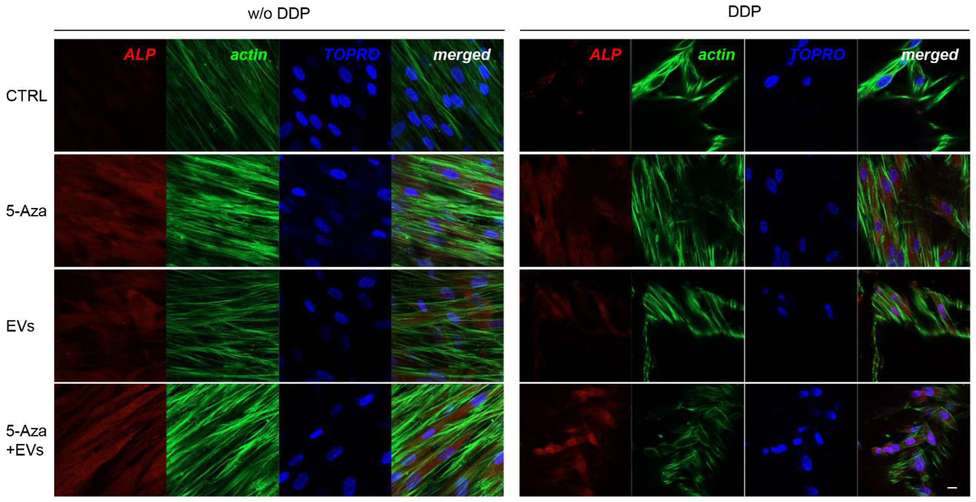 Biomedicines 10 00403 g003 550
