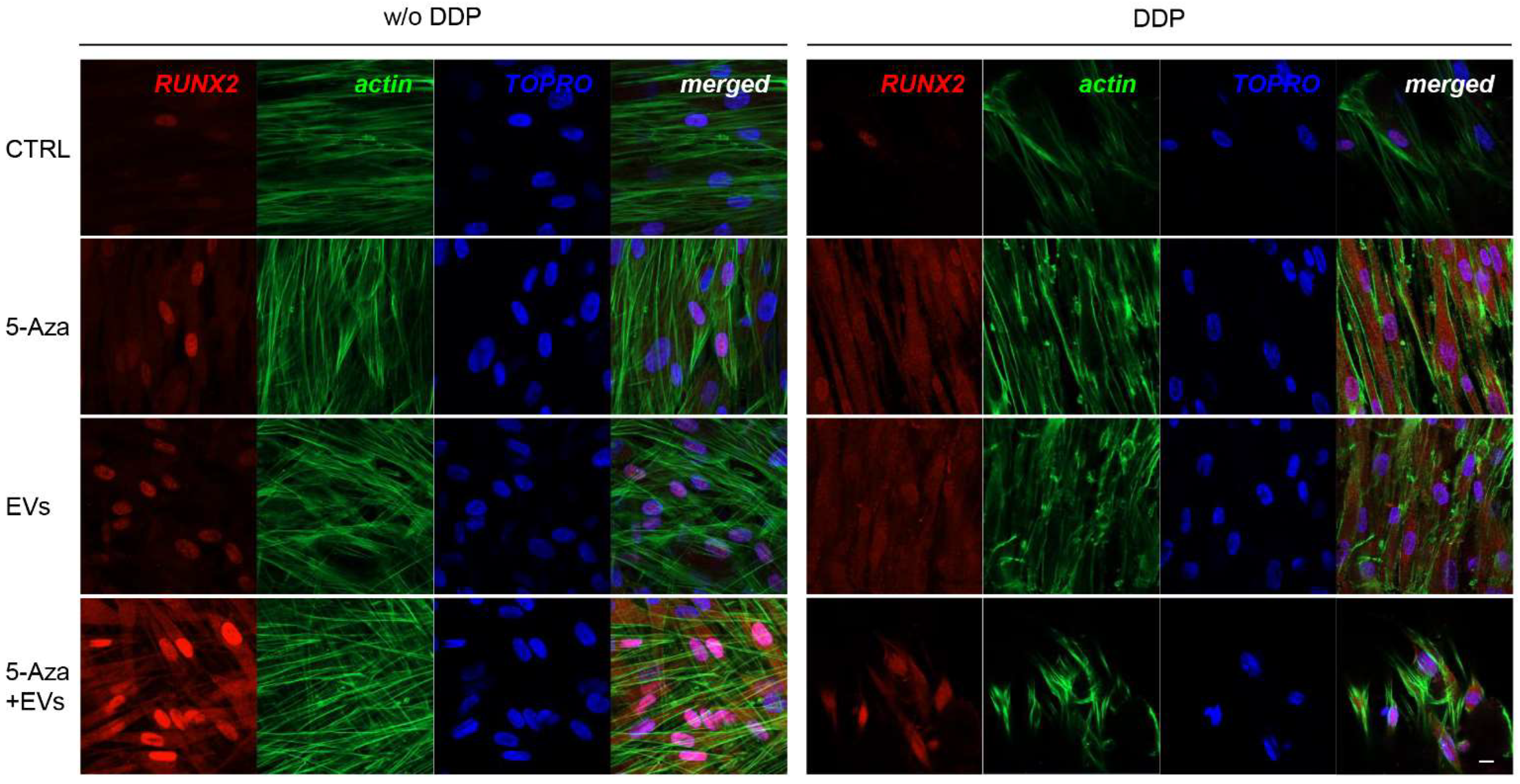 Biomedicines 10 00403 g004 550