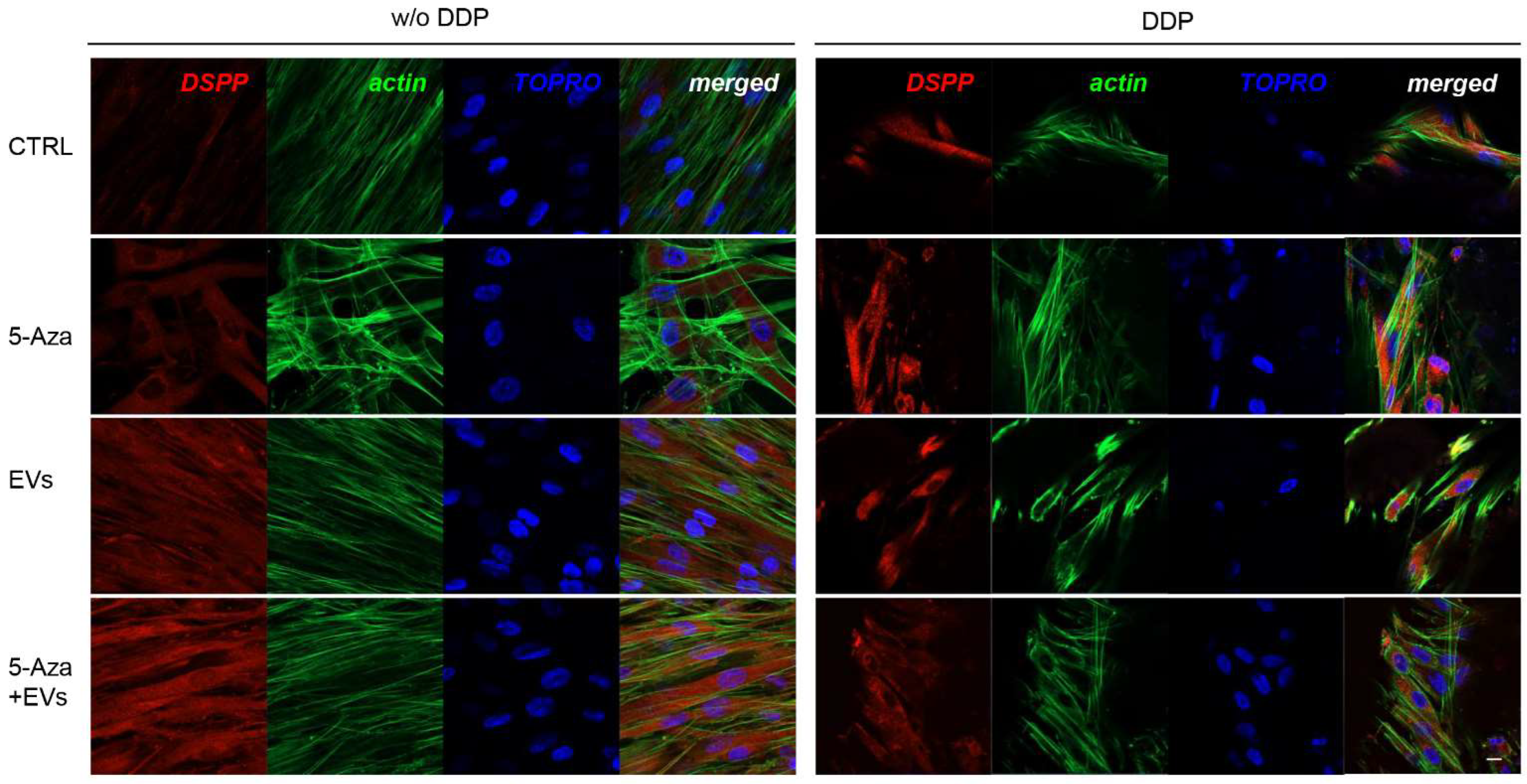 Biomedicines 10 00403 g008 550