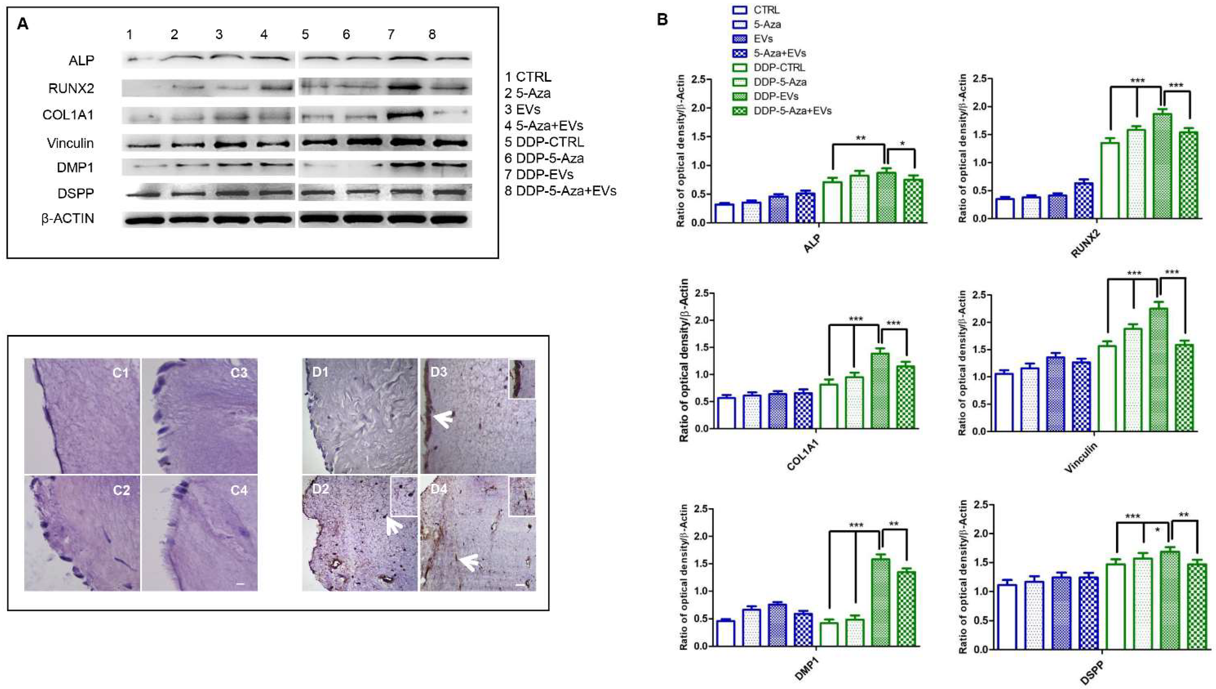 Biomedicines 10 00403 g009 550