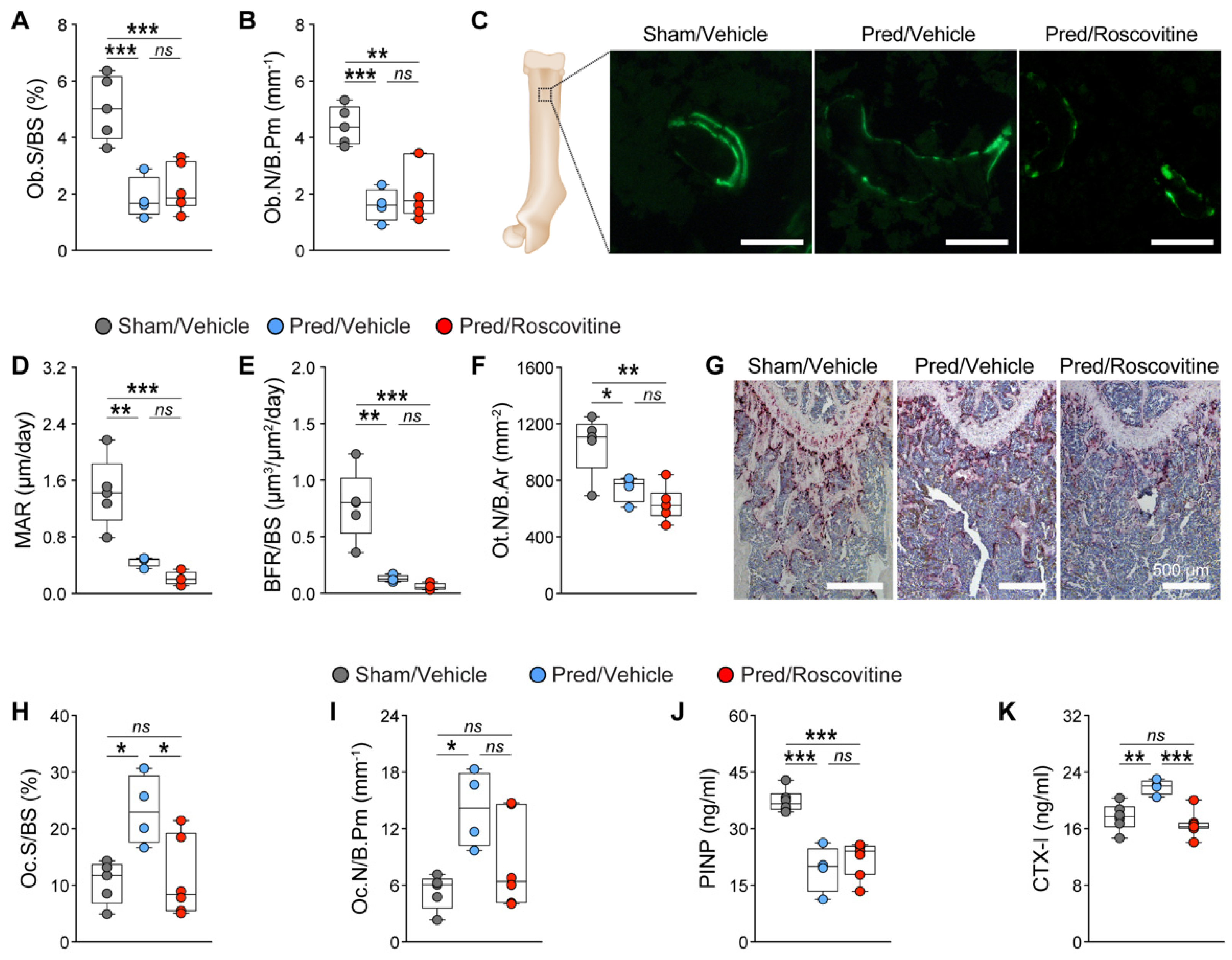 Biomedicines 10 00404 g003 550
