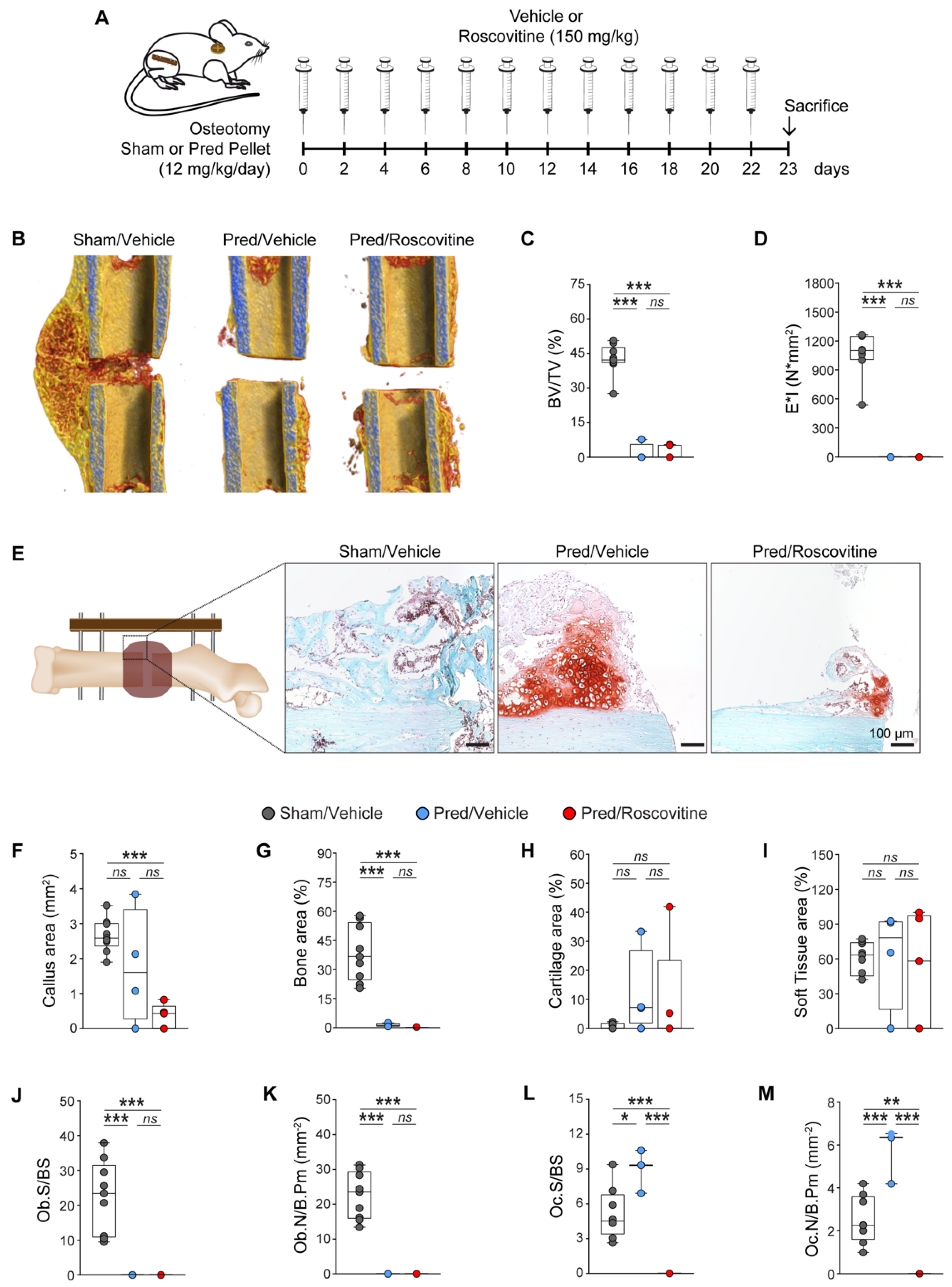Biomedicines 10 00404 g005 550