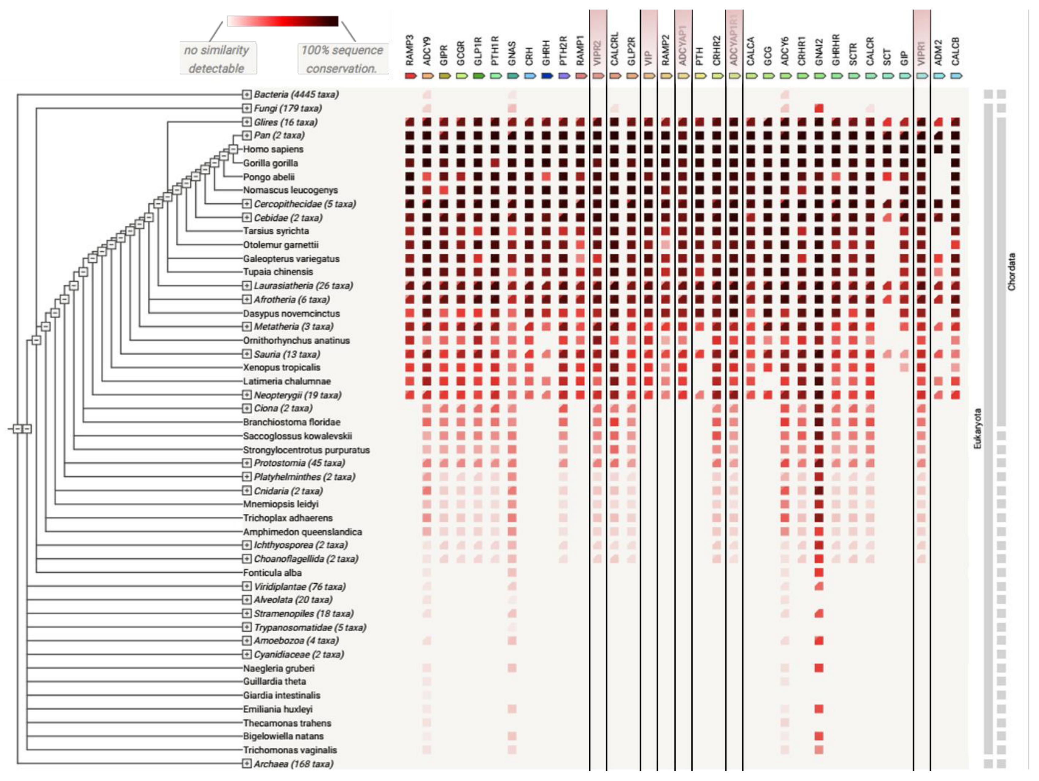 Biomedicines 10 00406 g006 Biomedicines 10 00406 g006