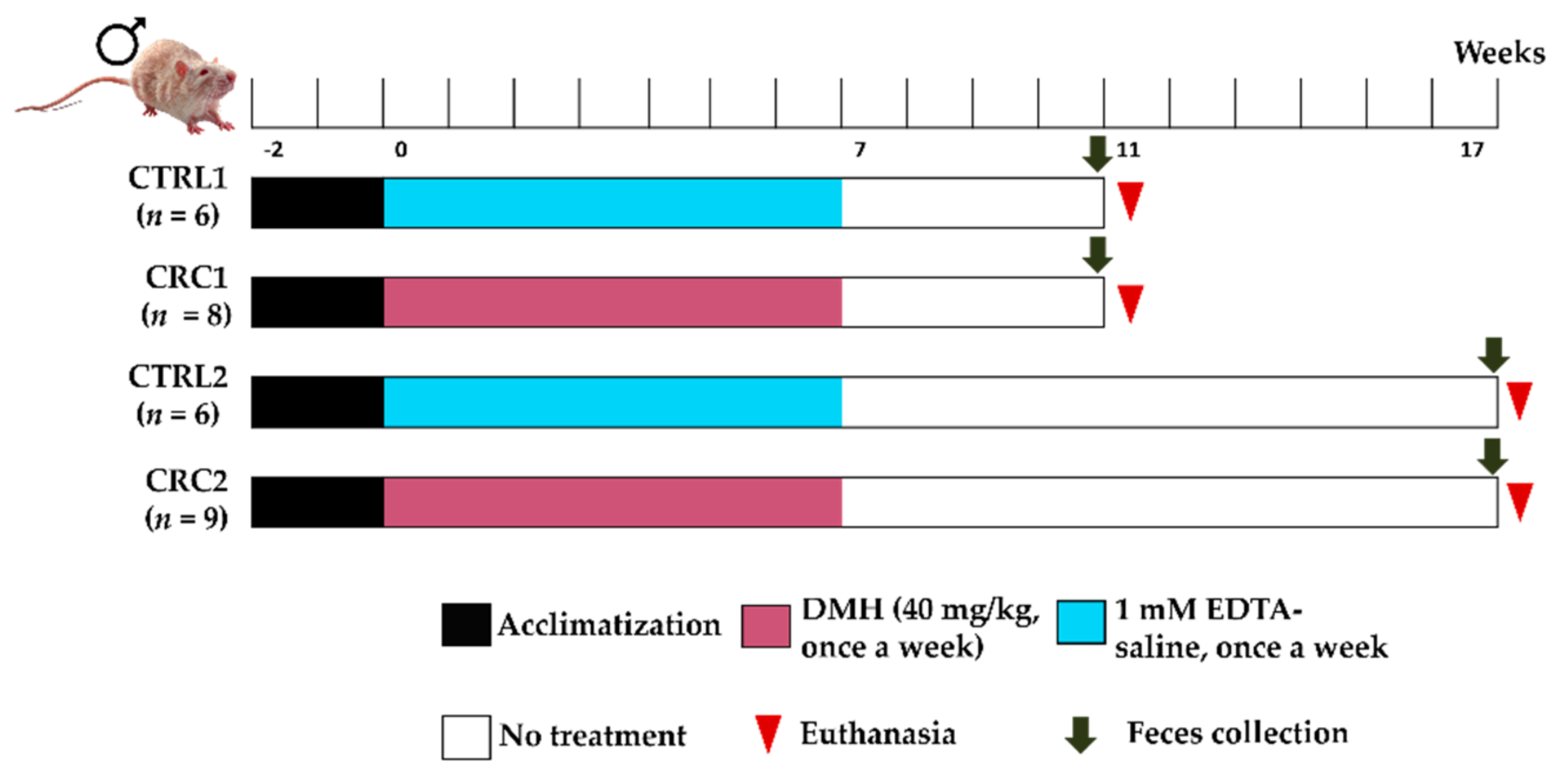 Biomedicines 10 00409 g001 Biomedicines 10 00409 g001