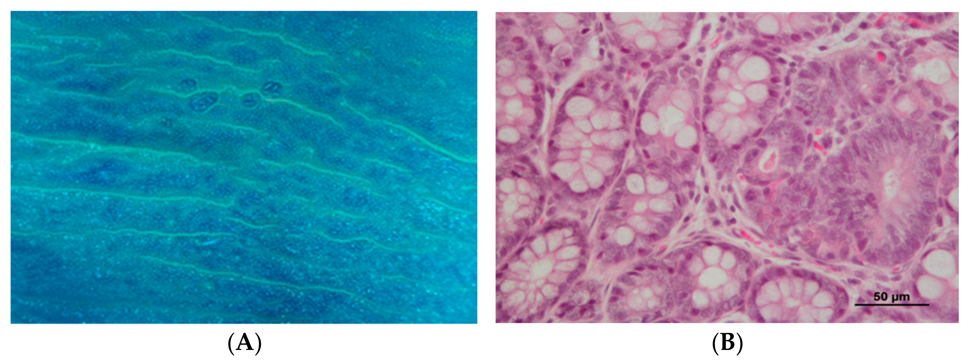 Biomedicines 10 00409 g003 Biomedicines 10 00409 g003