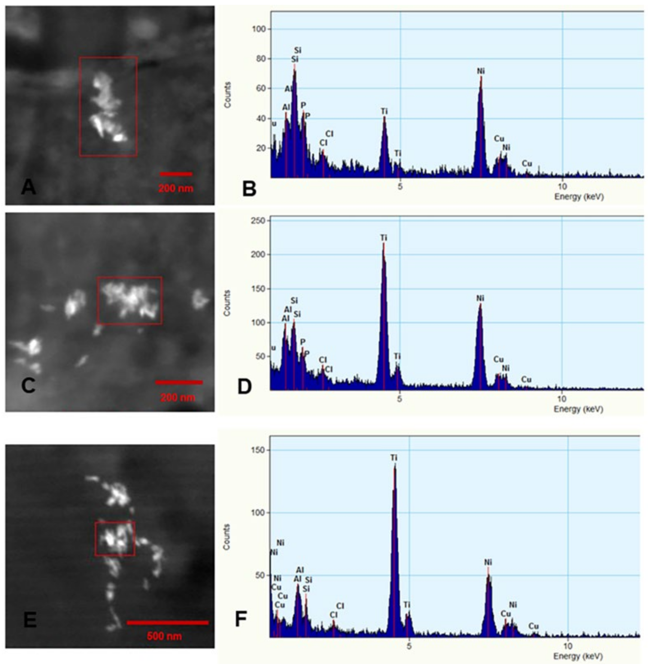 Biomedicines 10 00410 g008
