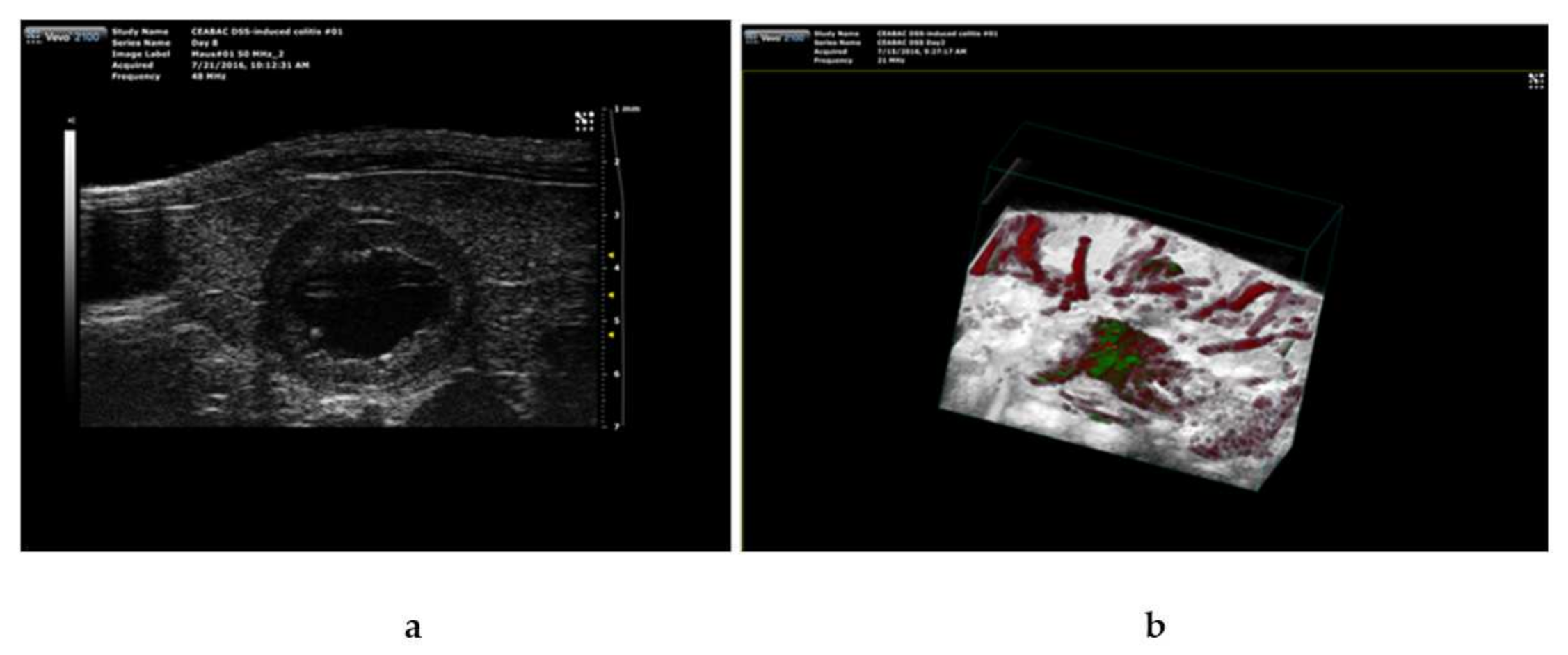 Biomedicines 10 00413 g005 Biomedicines 10 00413 g005