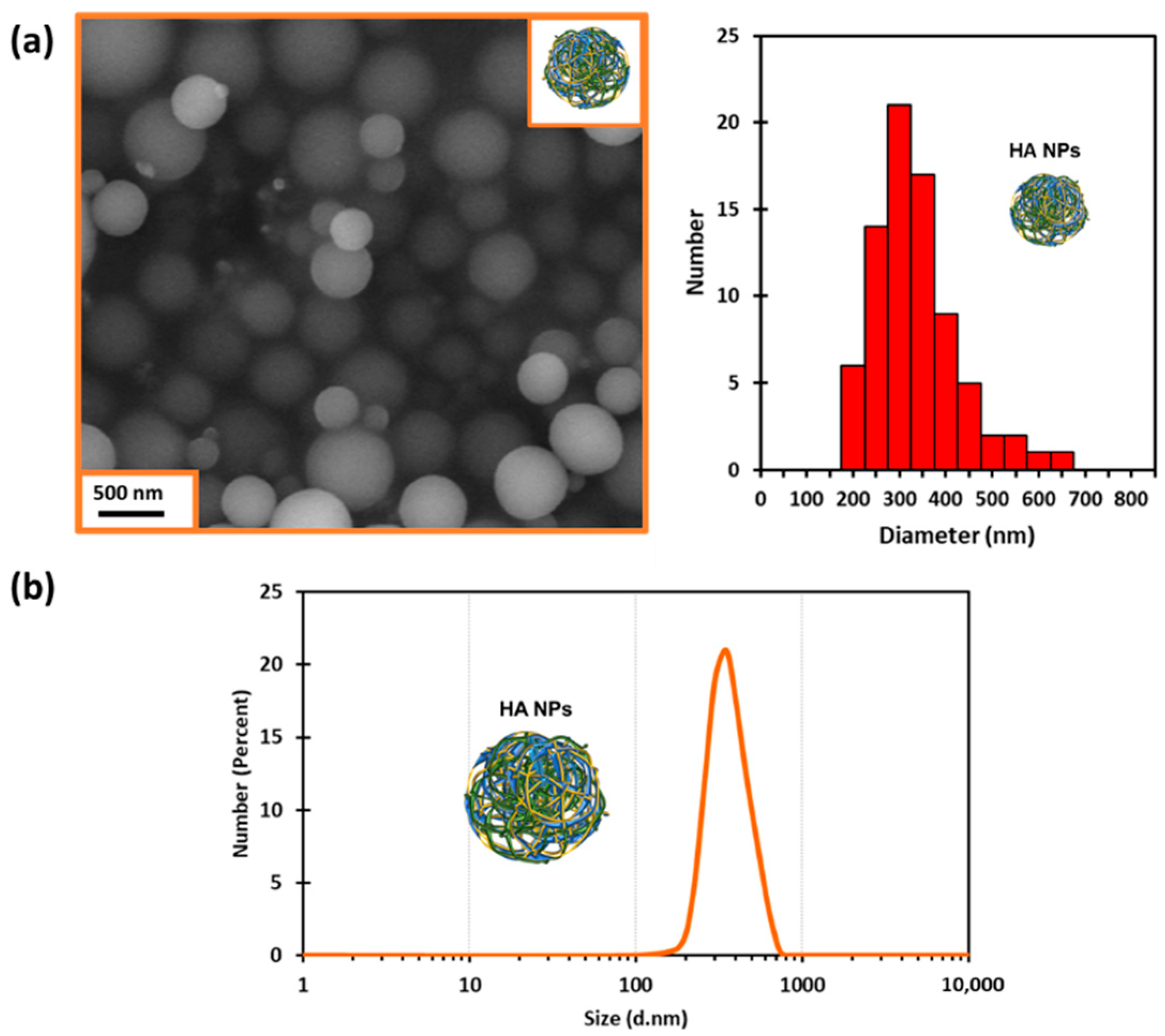 Biomedicines 10 00414 g001