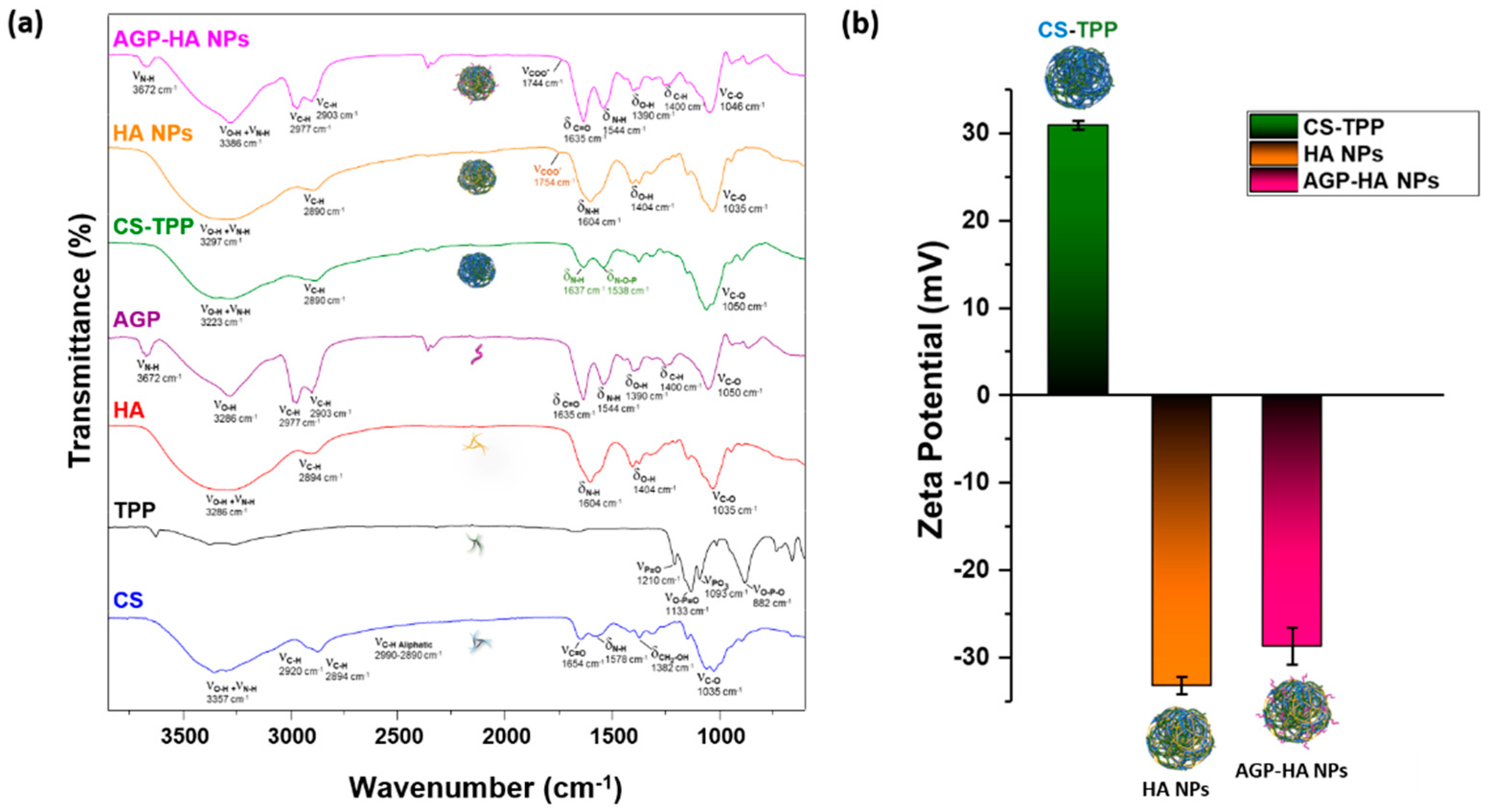 Biomedicines 10 00414 g002