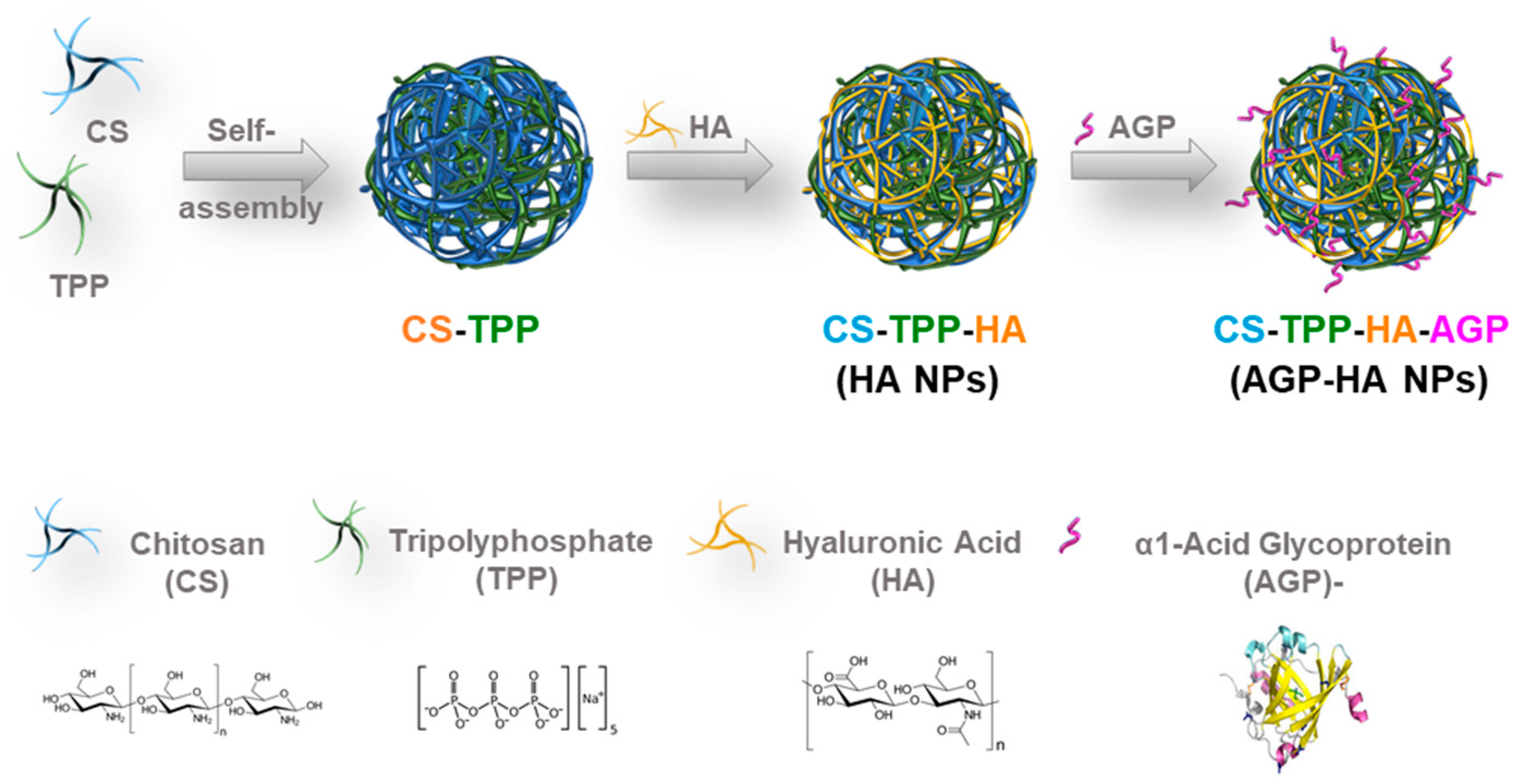 Biomedicines 10 00414 sch001